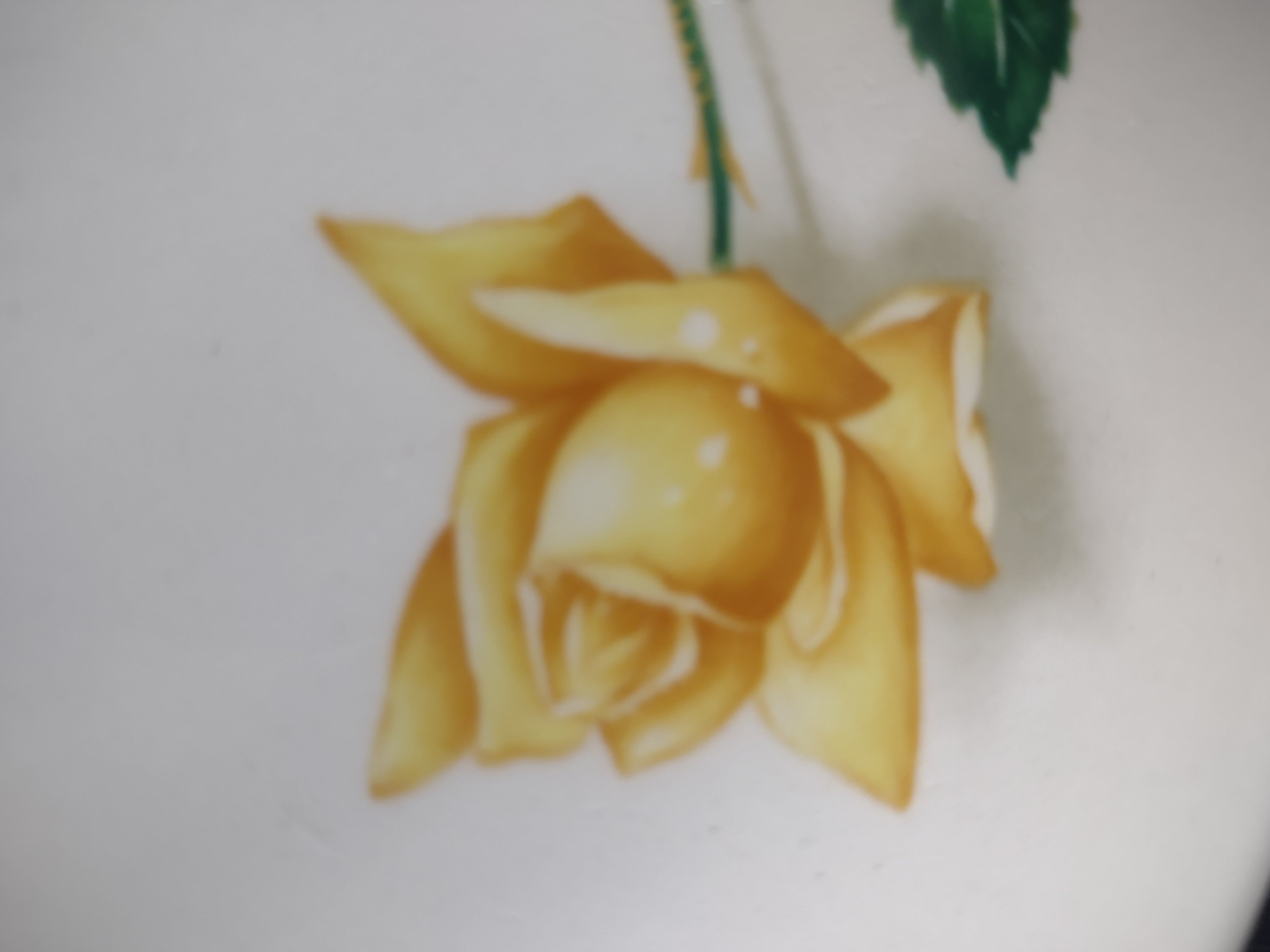 Vintage Yellow Gold Rose Bread Butter Plates Set of 3 Floral [6443]