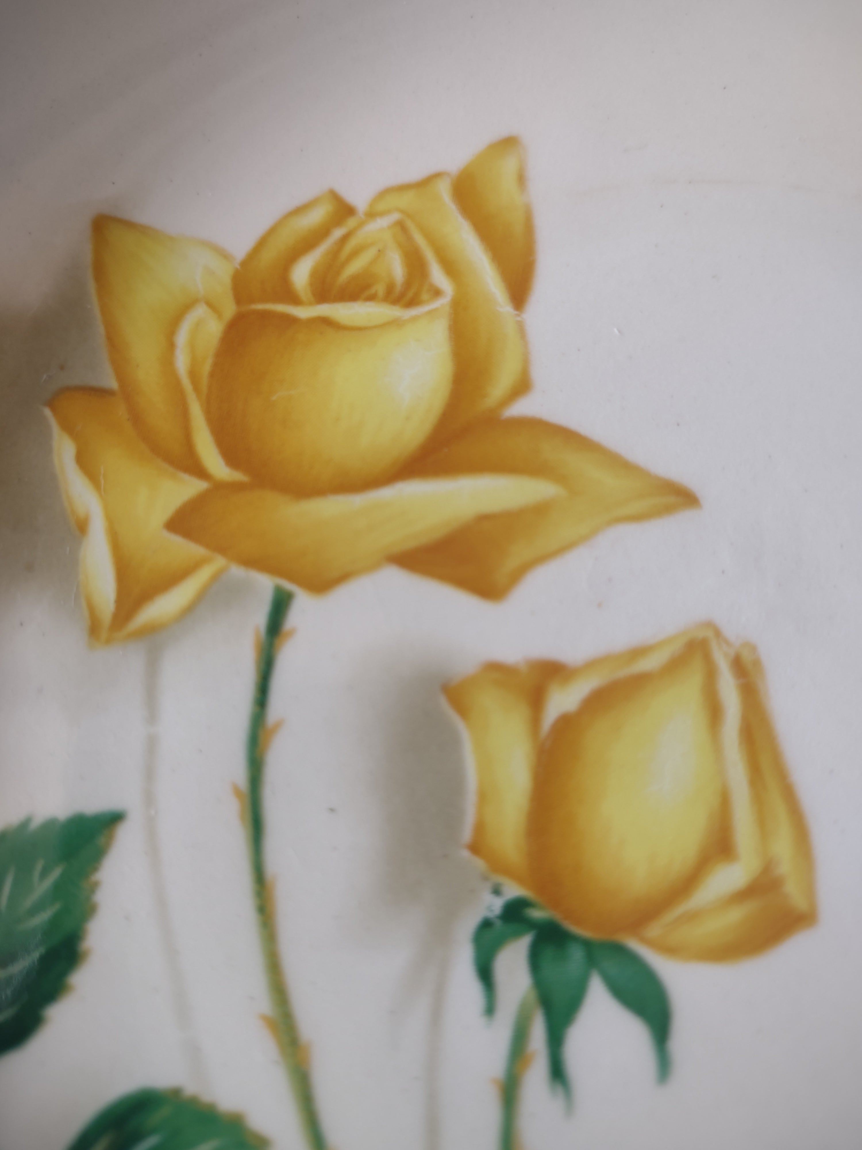 Vintage Yellow Rose Dessert Plates Set of 4 White Ceramic Floral [6445]