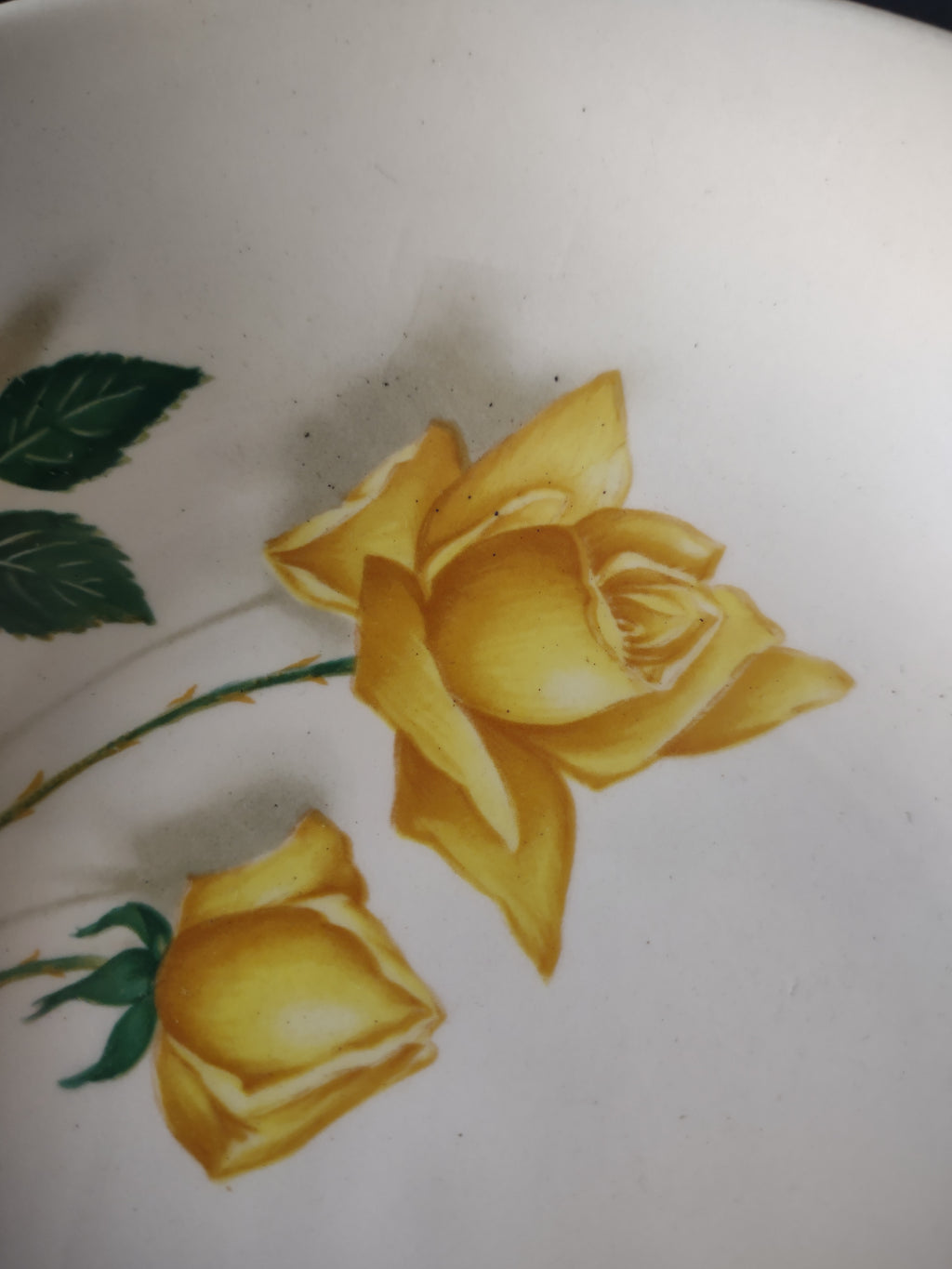 Vintage Canonsburg Pottery Yellow Rose Pasta Bowls Set of 4 [6446]
