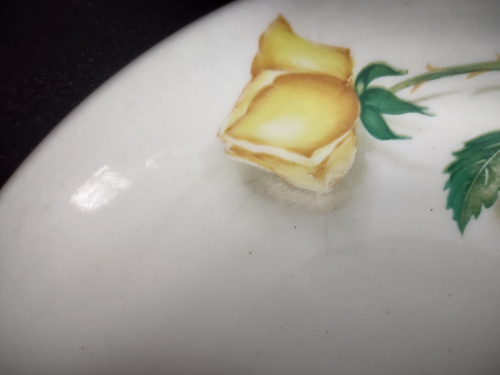Vintage Canonsburg Pottery Yellow Rose Fruit Bowls Set of 4 [6448]