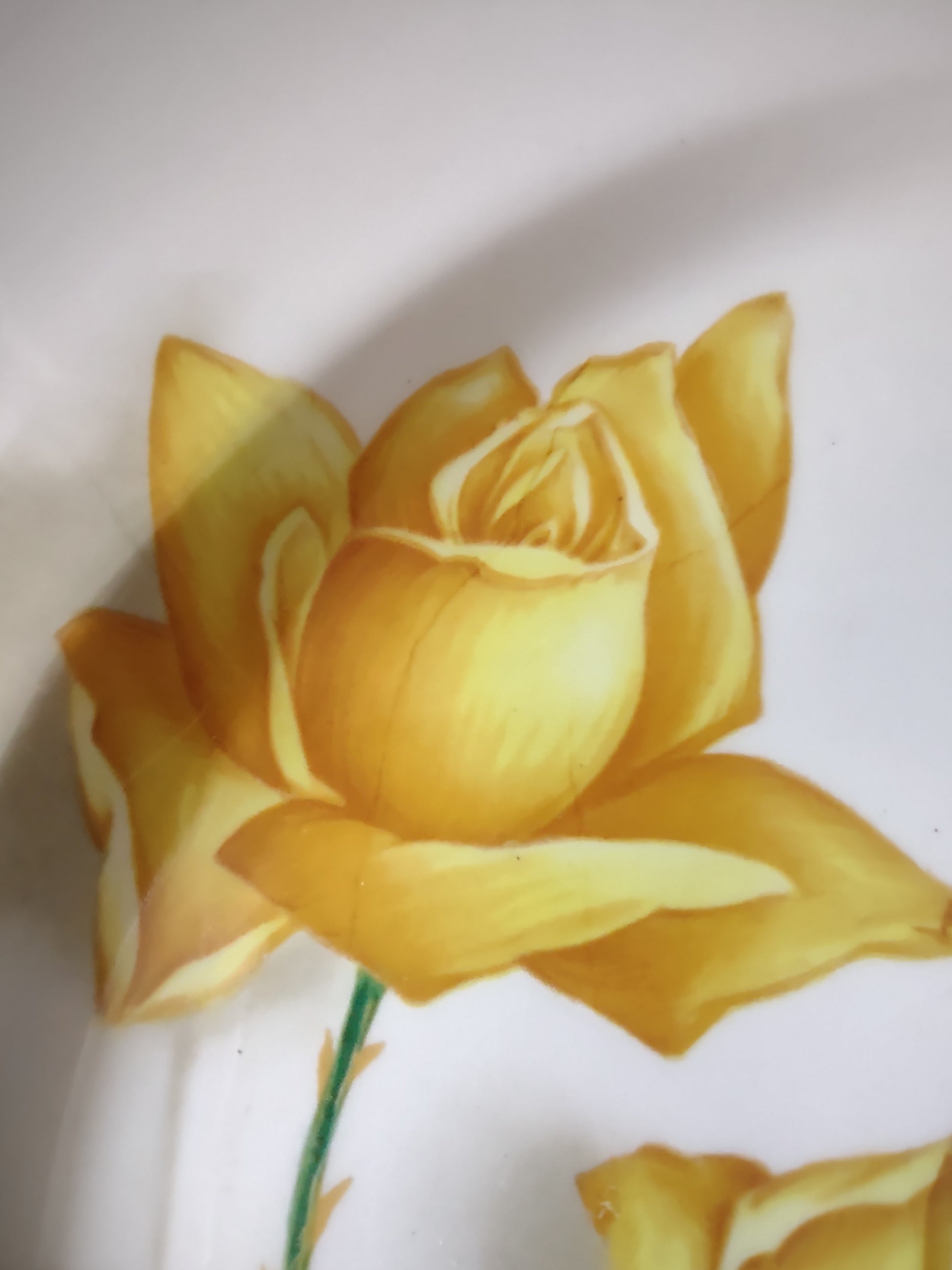 Vintage Yellow Rose Dinner Plate Ceramic White & Yellow 10.5 in [6450]