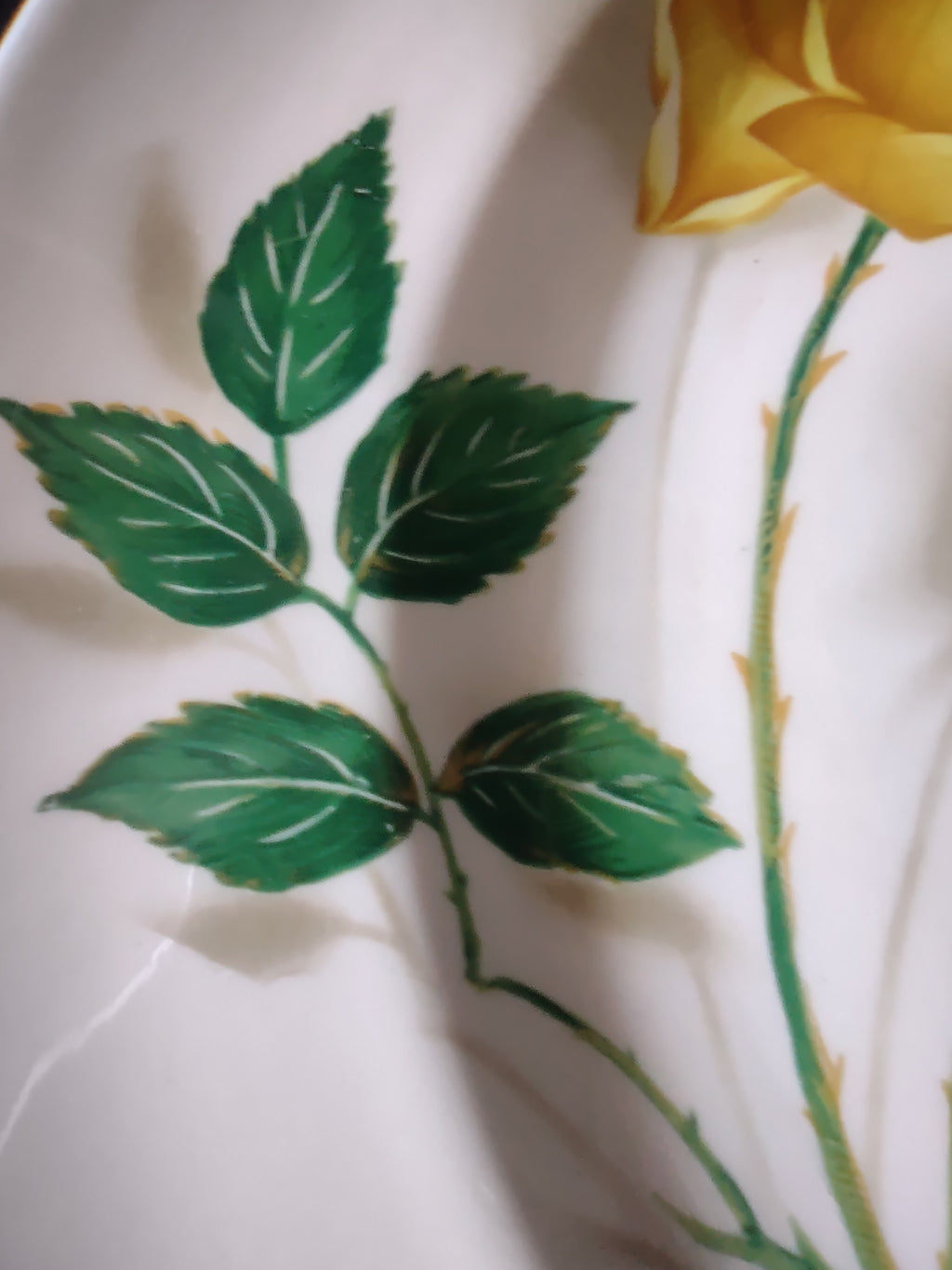 Vintage Yellow Rose Dinner Plate Ceramic White & Yellow 10.5 in [6450]