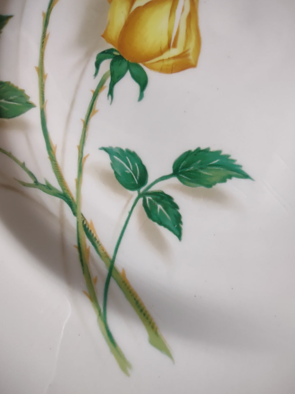 Vintage Yellow Rose Dinner Plate Ceramic White & Yellow 10.5 in [6450]
