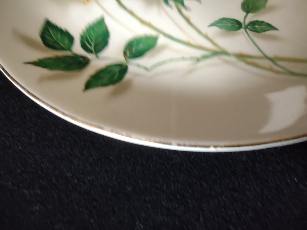 Vintage Canonsburg Simplicity Yellow Rose Dinner Plates Set of 3 [6451]