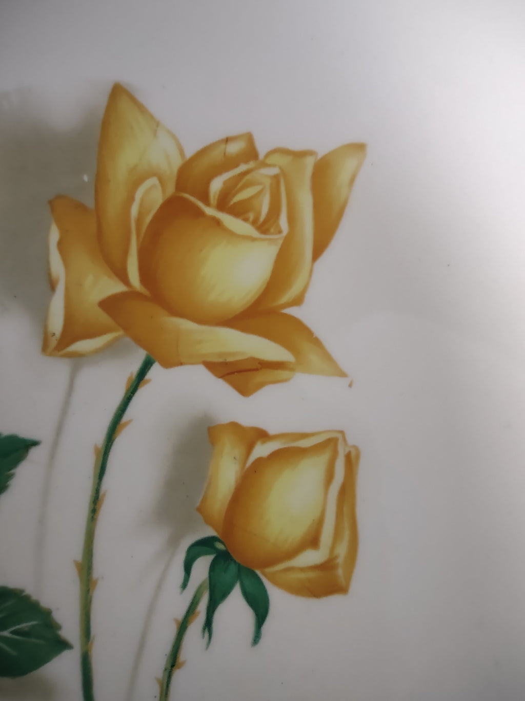 Vintage Canonsburg Pottery Yellow Rose Serving Bowl 9 Inch [6453]