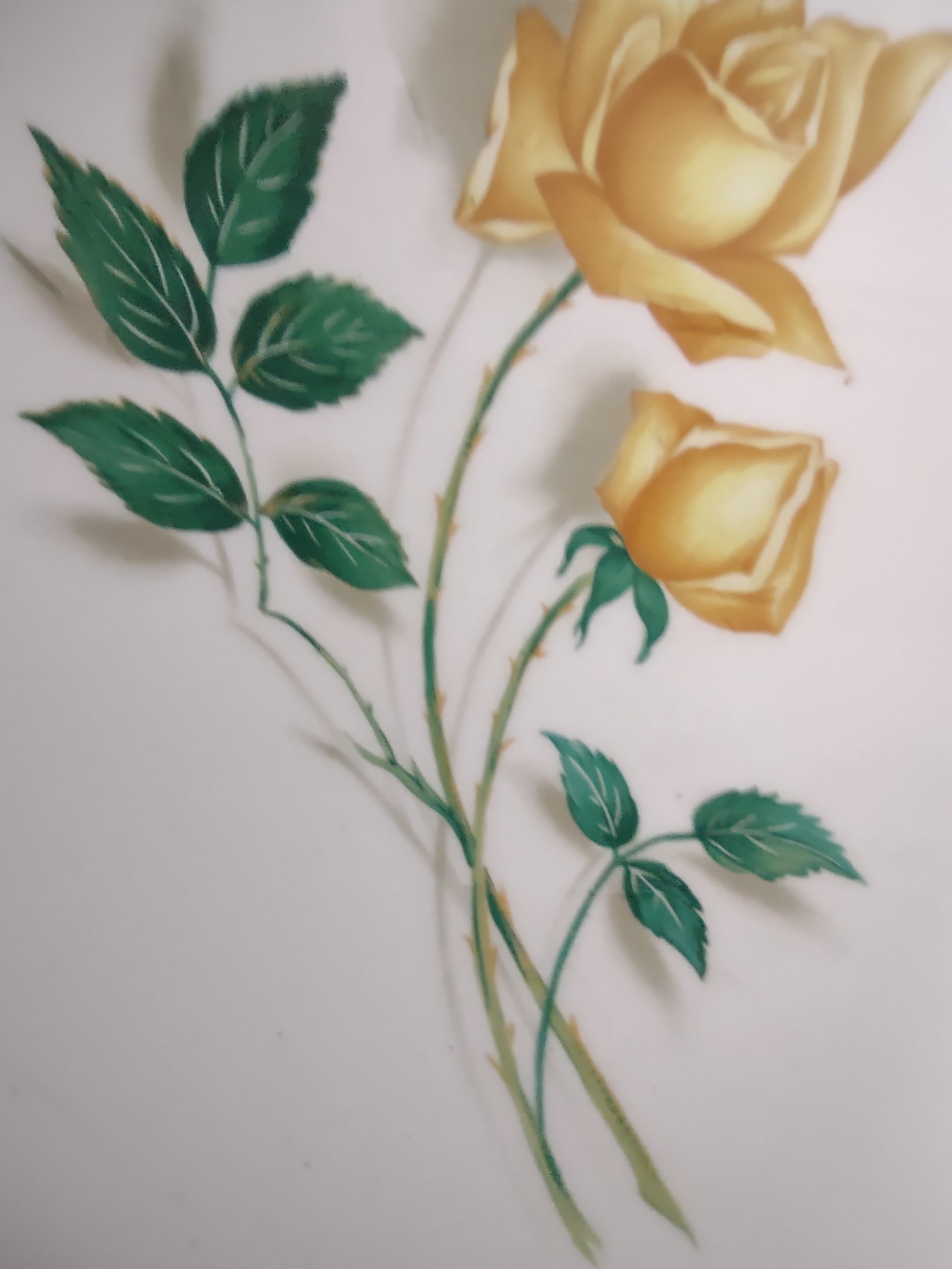 Vintage Canonsburg Pottery Yellow Rose Serving Bowl 9 Inch [6453]