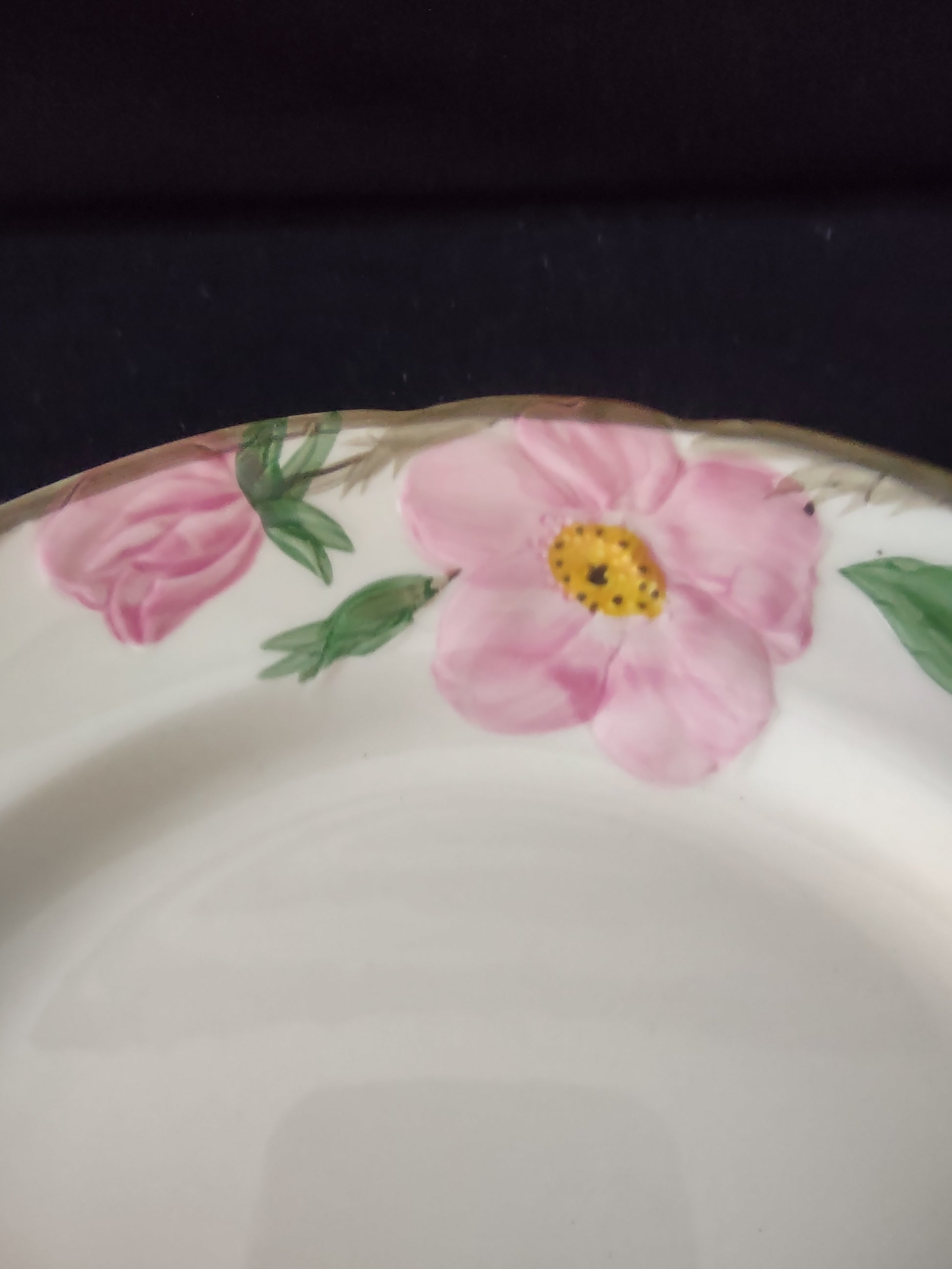 Vintage Franciscan Desert Rose Dinner Plates Set of 2 10.5" Made in USA [6484]