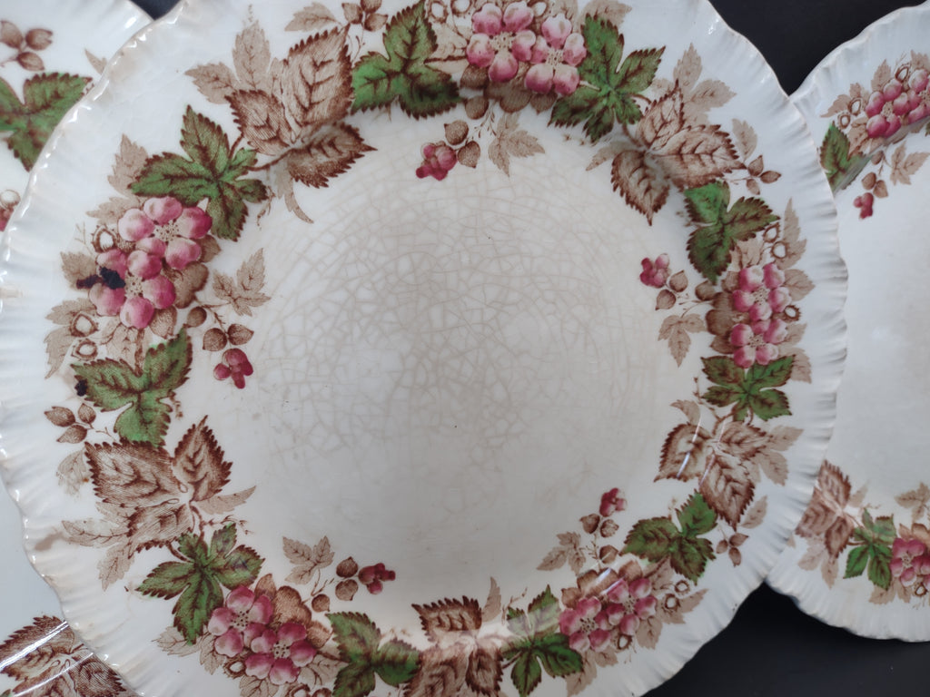 Vintage Spode Copeland's China Grape Berry Leaf Plates Set of 3 HEAVY Crazing [6497]