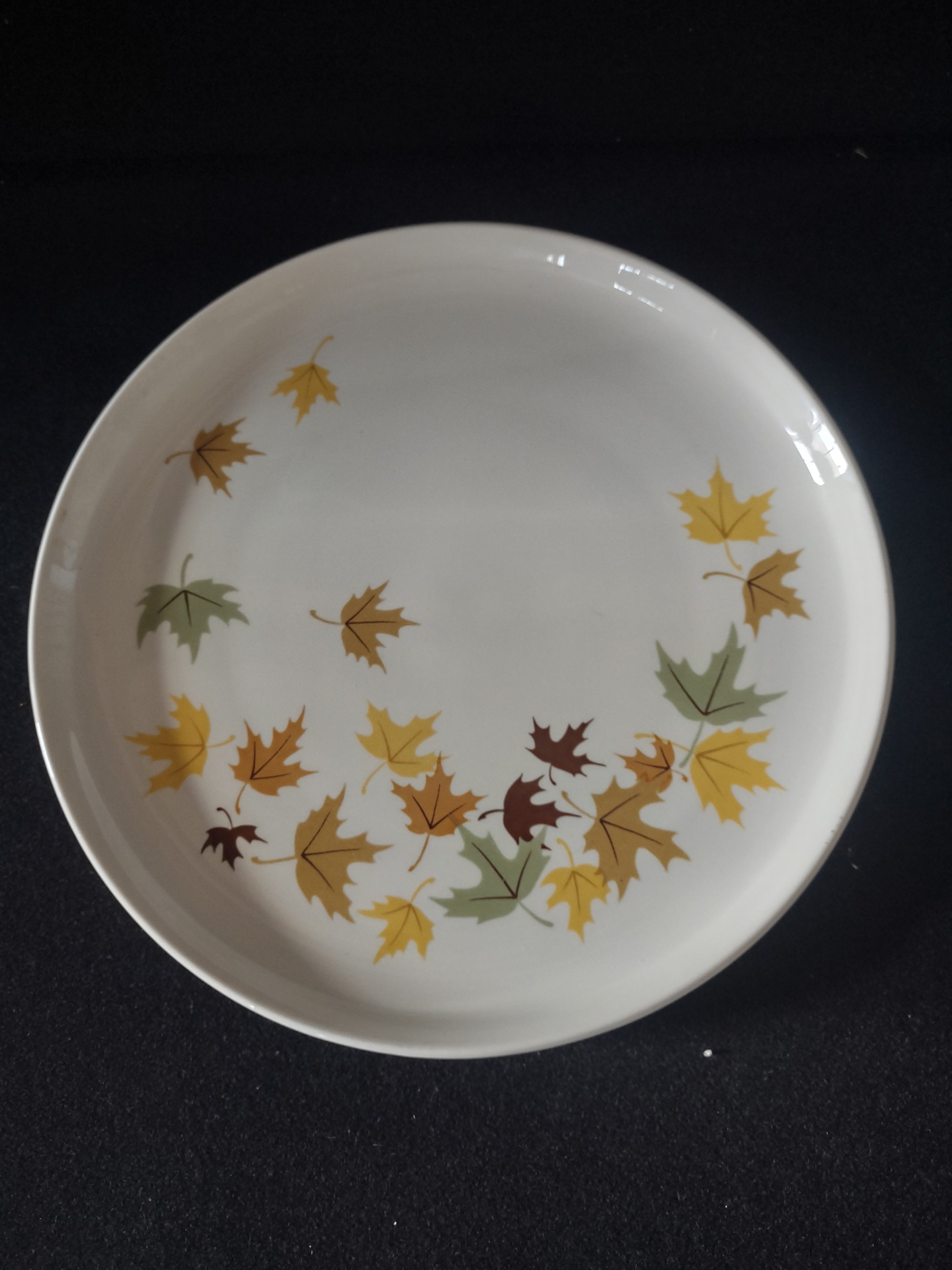 Vintage Franciscan Fine China Autumn Leaves Dinner Plate 10" [6522]