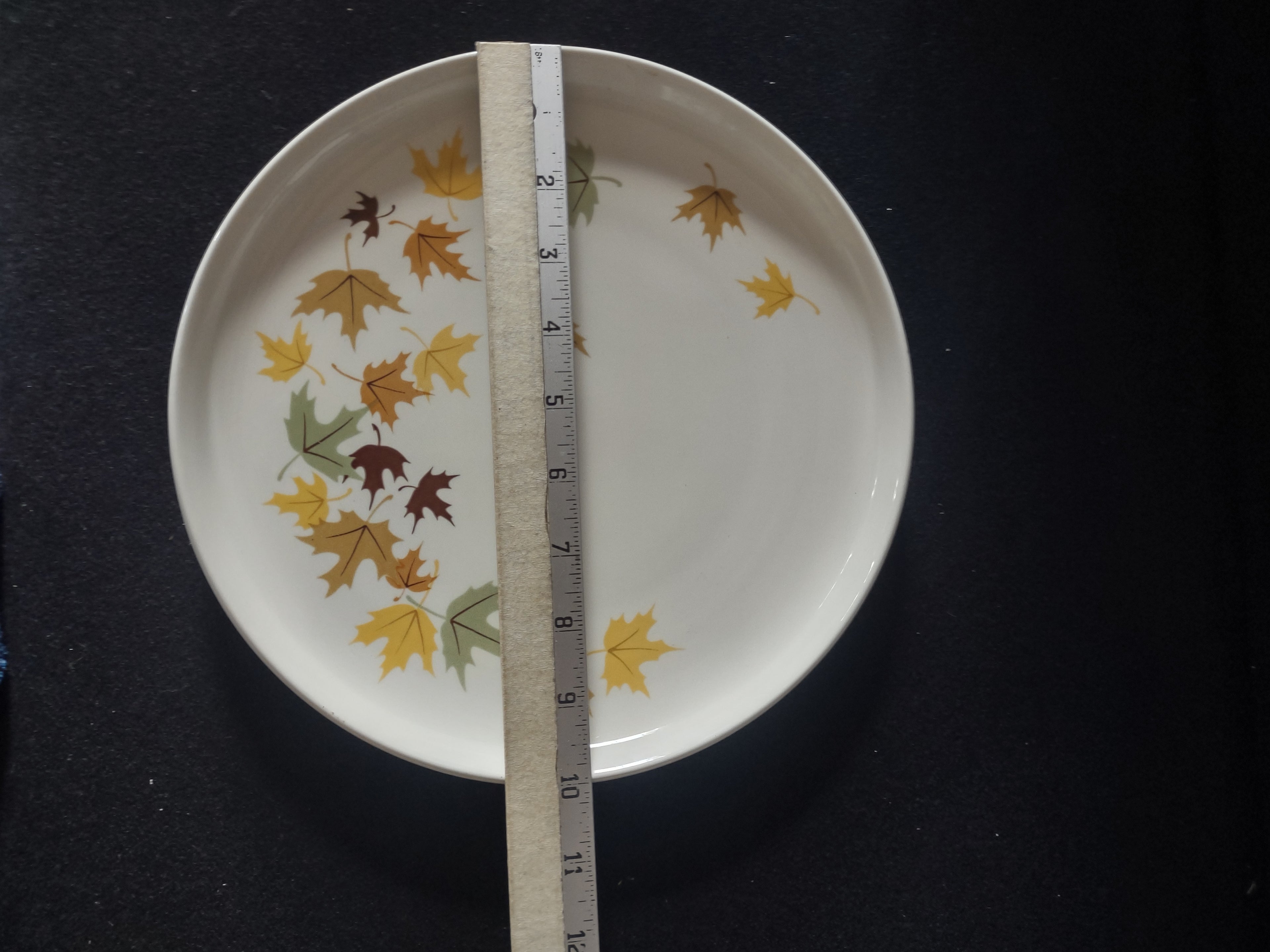 Vintage Franciscan Fine China Autumn Leaves Dinner Plate 10" [6522]