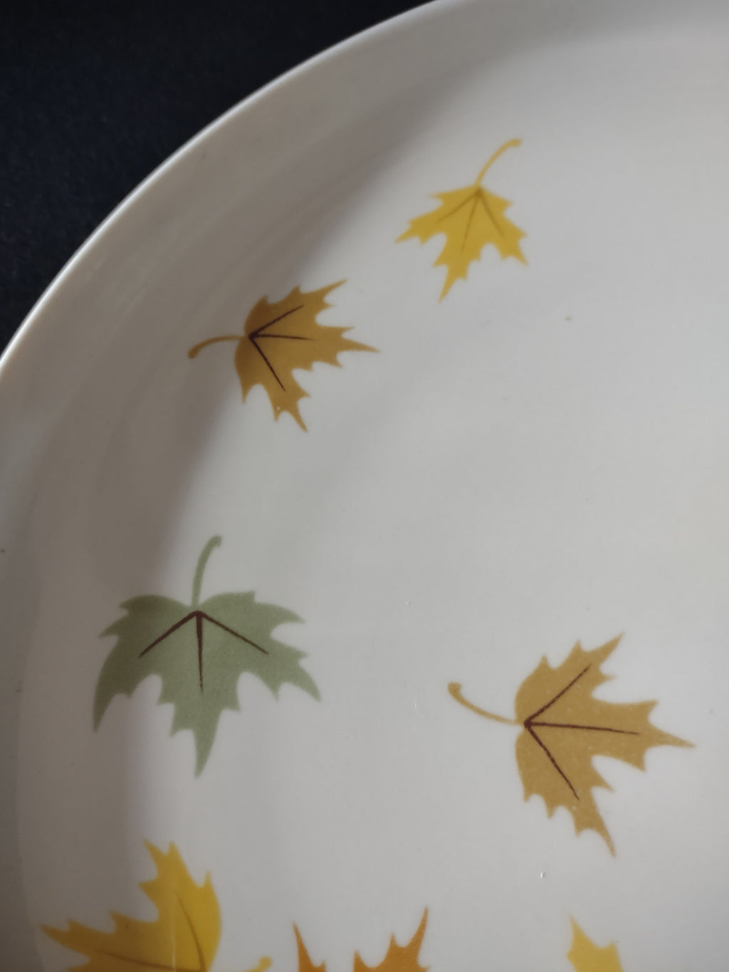 Vintage Franciscan Fine China Autumn Leaves Dinner Plate 10" [6522]