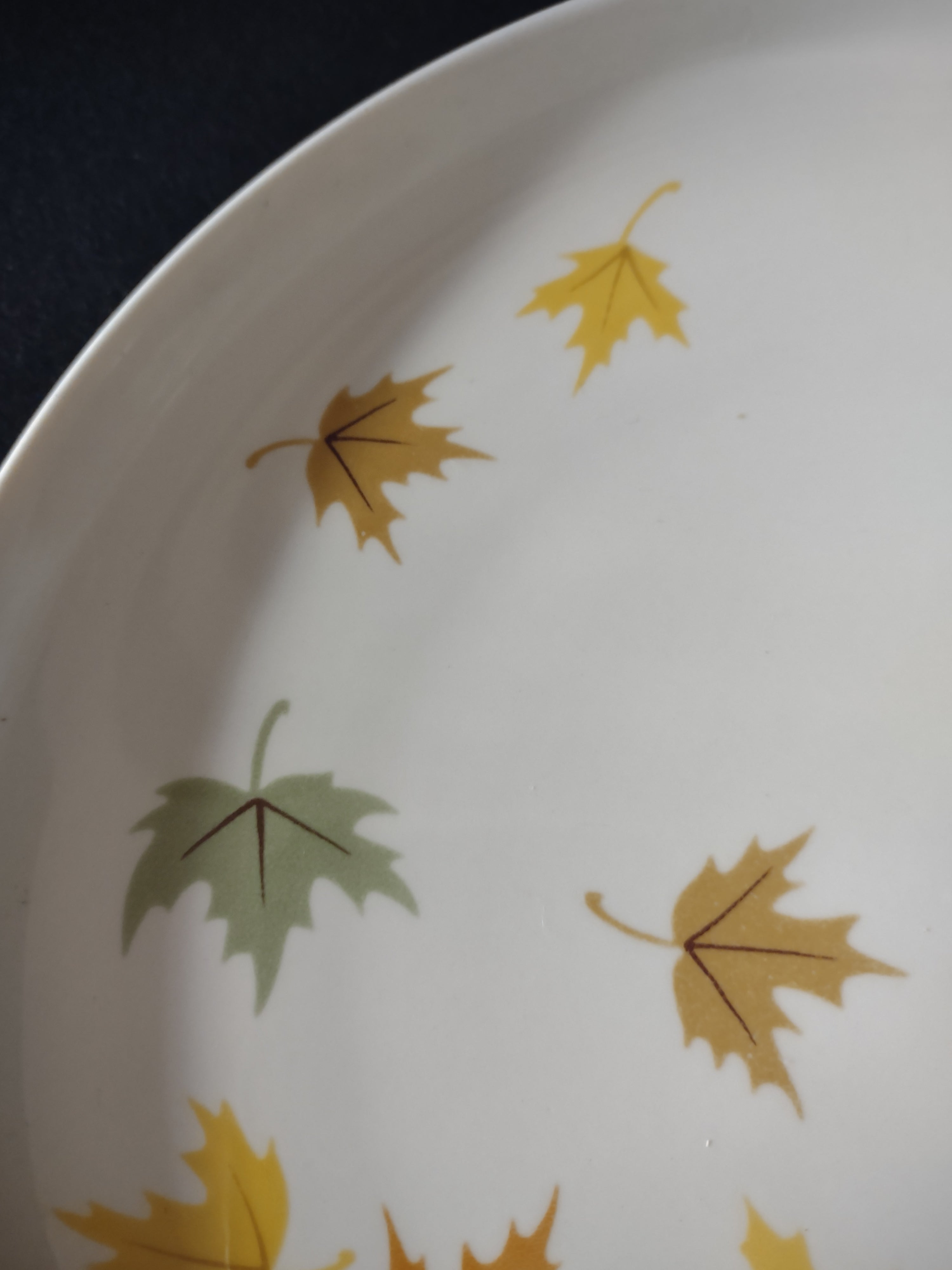 Vintage Franciscan Fine China Autumn Leaves Dinner Plate 10" [6522]