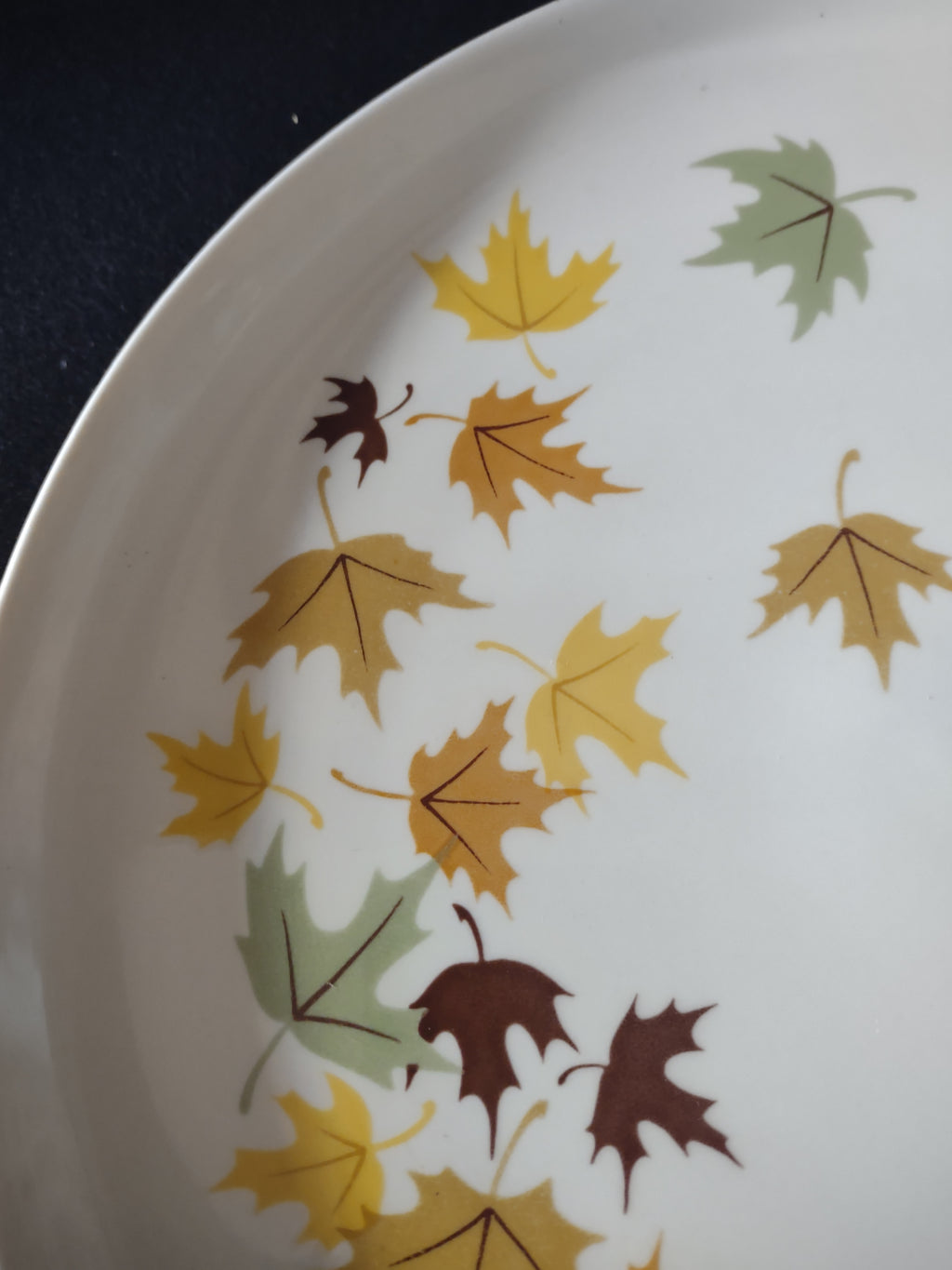 Vintage Franciscan Fine China Autumn Leaves Dinner Plate 10" [6522]