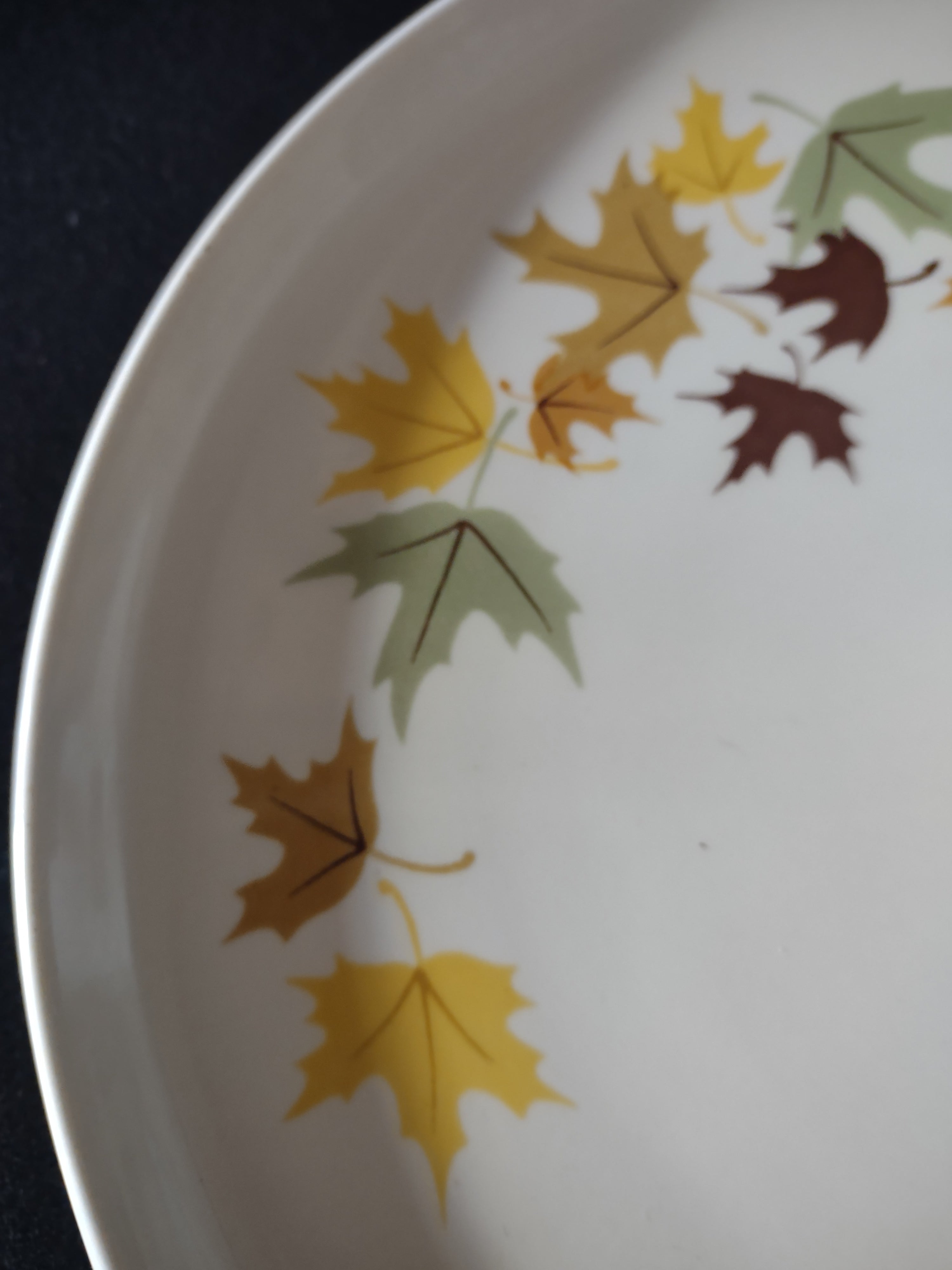 Vintage Franciscan Fine China Autumn Leaves Dinner Plate 10" [6522]