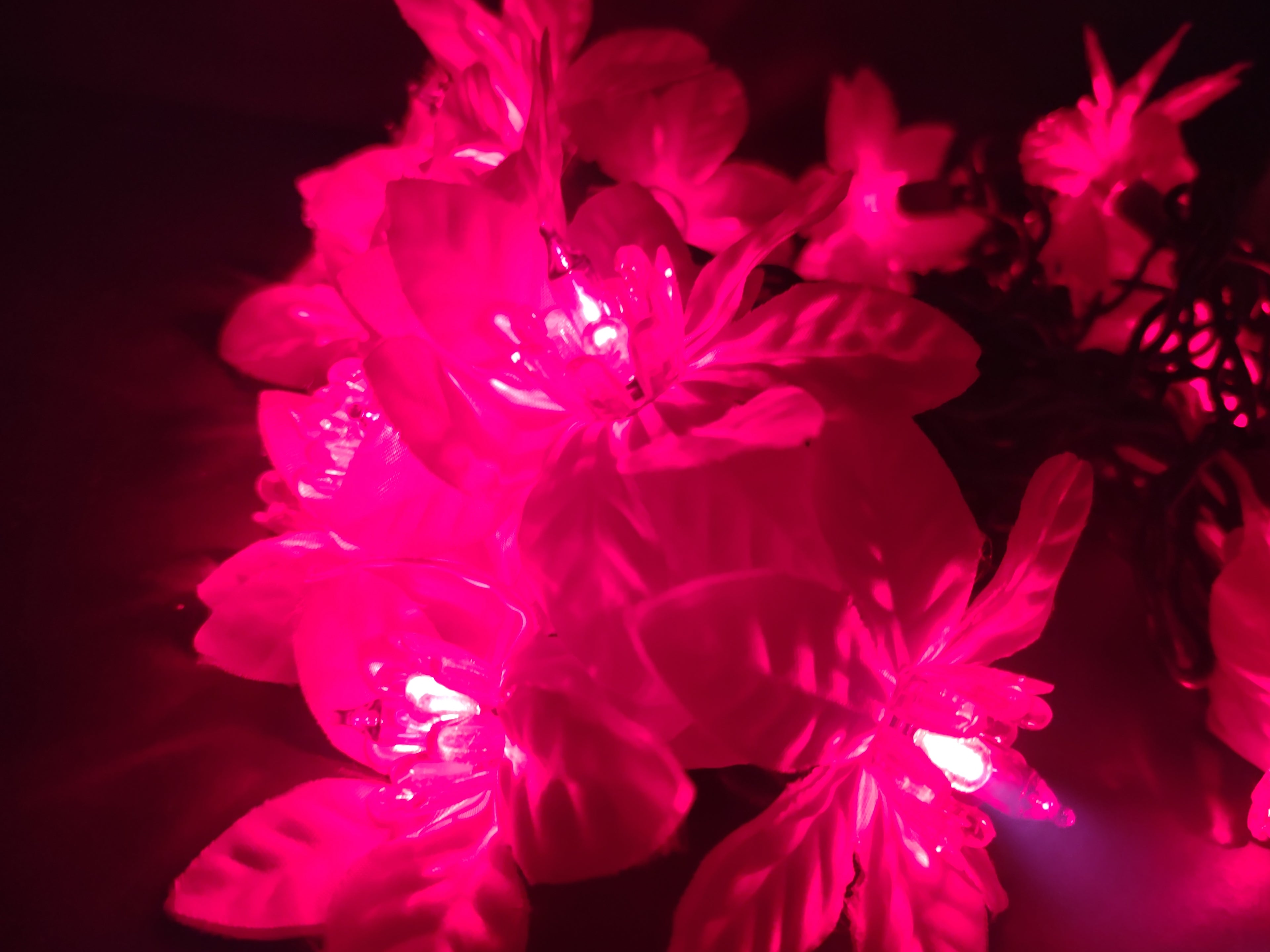 Vintage Holiday Accents 20 Red Poinsettia Christmas Light String 14ft [4860]