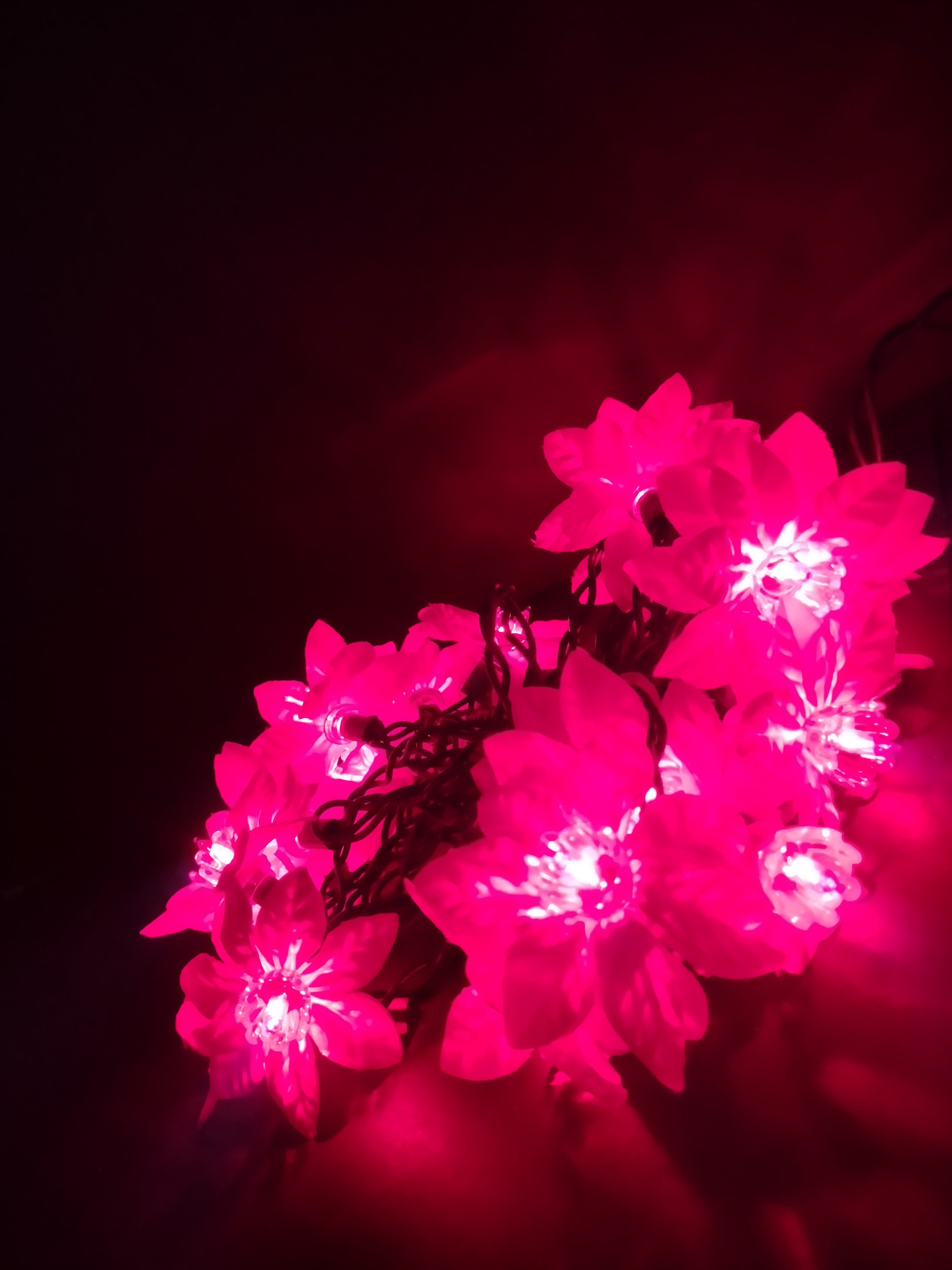 Vintage Holiday Accents 20 Red Poinsettia Christmas Light String 14ft [4860]