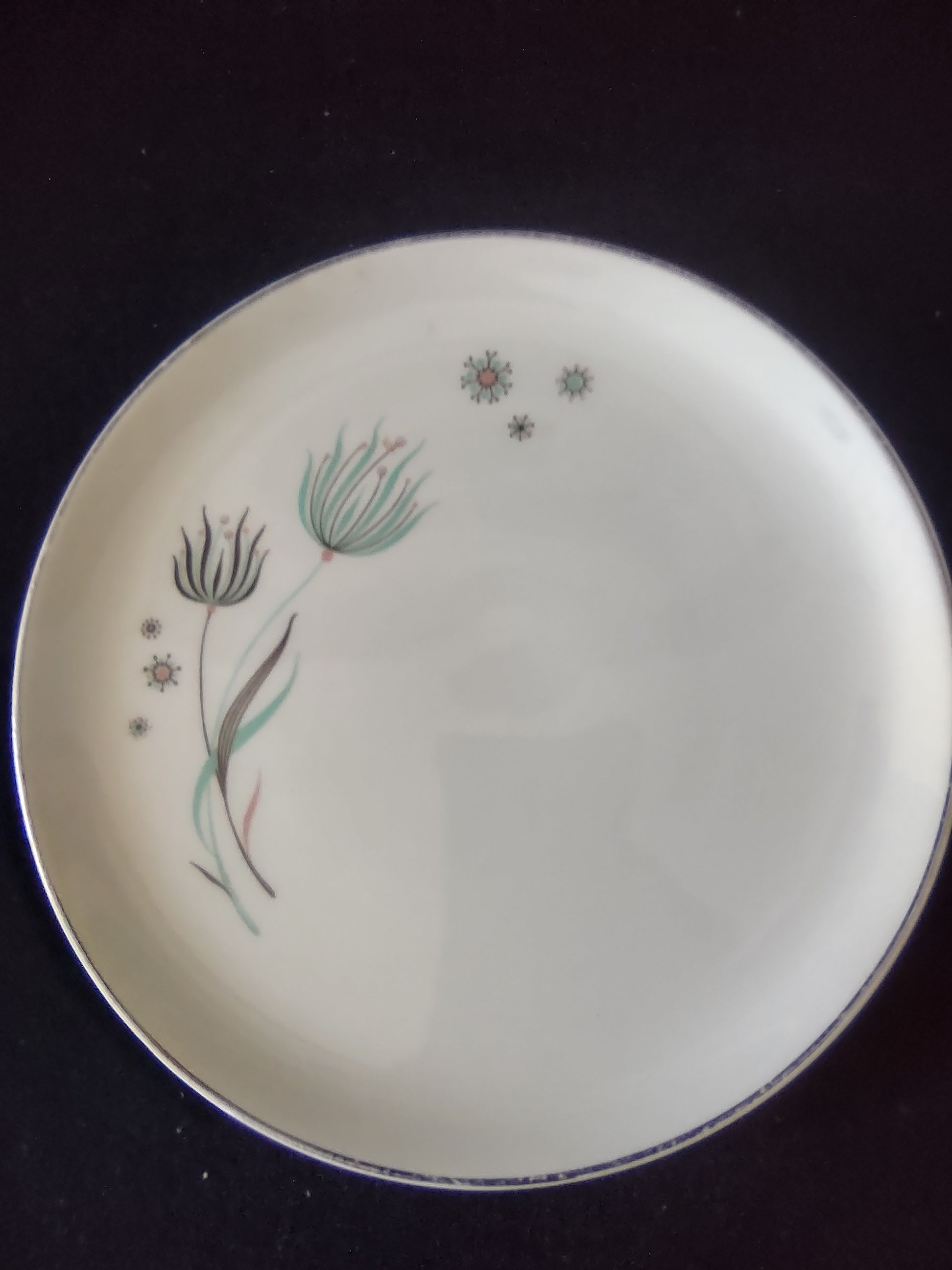 Vintage Canonsburg Enchantment Botanical Dessert Plates Set of 4 [6533]