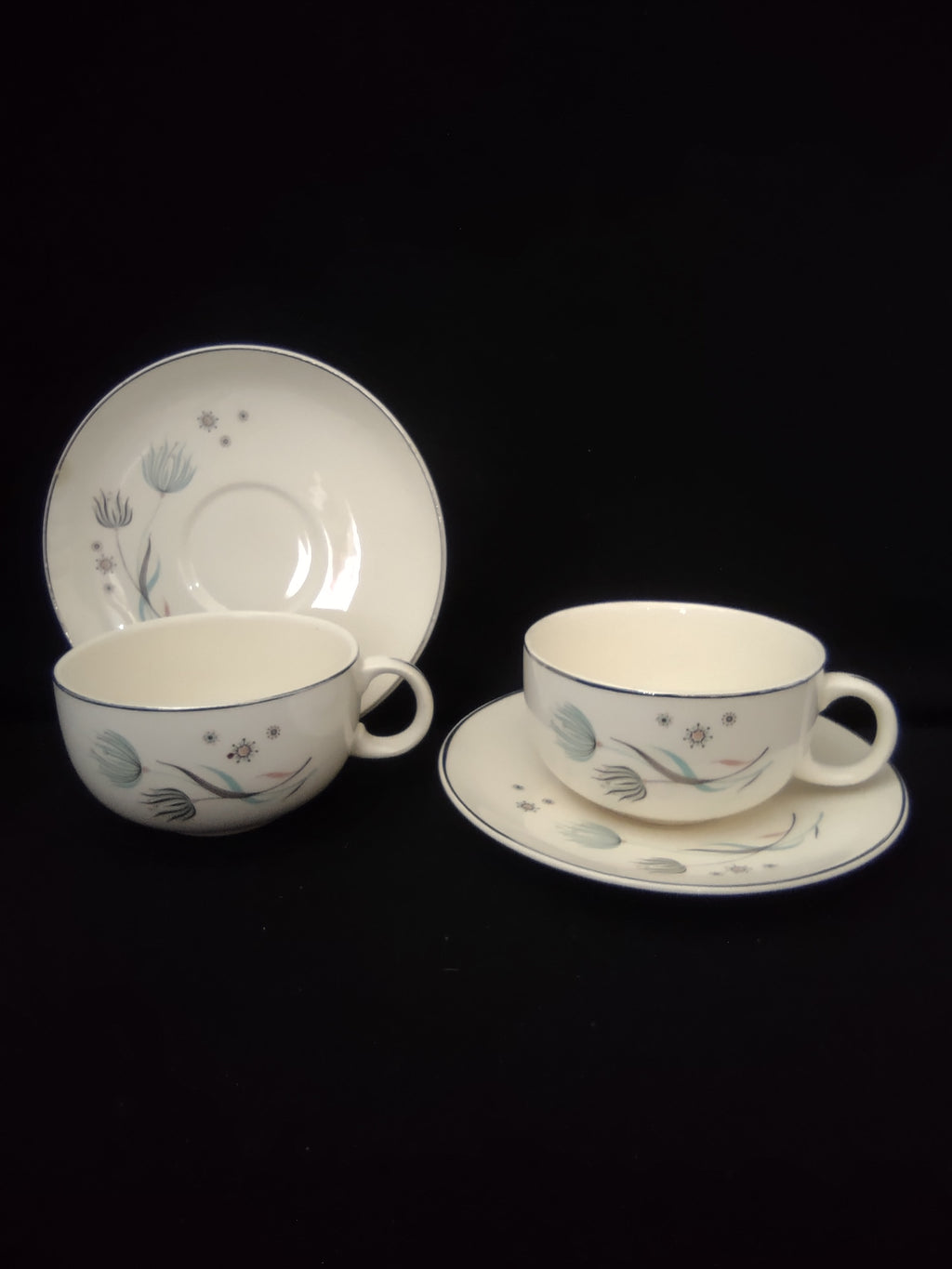 Vintage Crooksville Enchantment Botanical Cup & Saucer Set of 2 [6535]