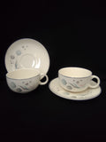 Vintage Crooksville Enchantment Botanical Cup & Saucer Set of 2 [6535]