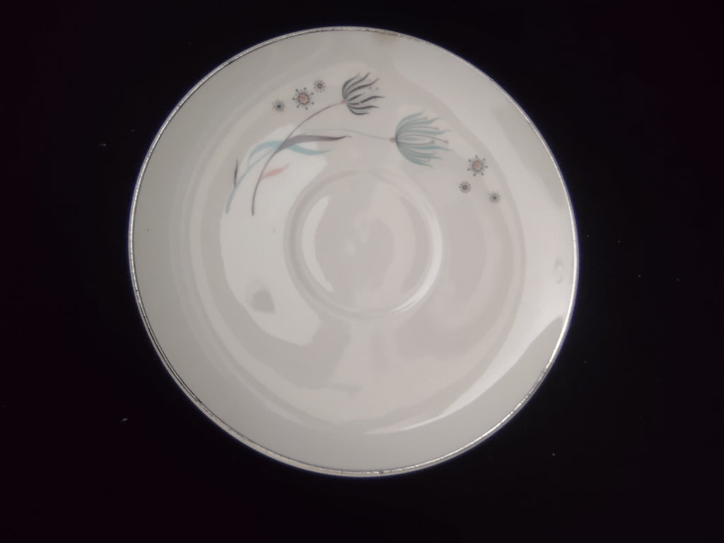 Vintage Crooksville Enchantment Botanical Cup & Saucer Set of 2 [6535]