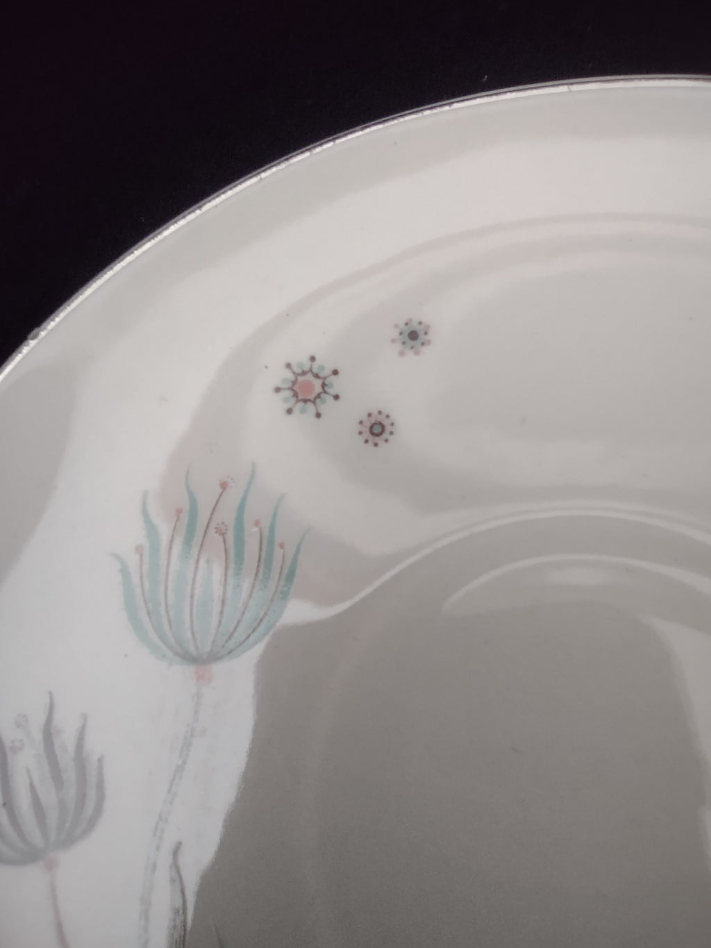 Vintage Crooksville Enchantment Botanical Cup & Saucer Set of 2 [6535]