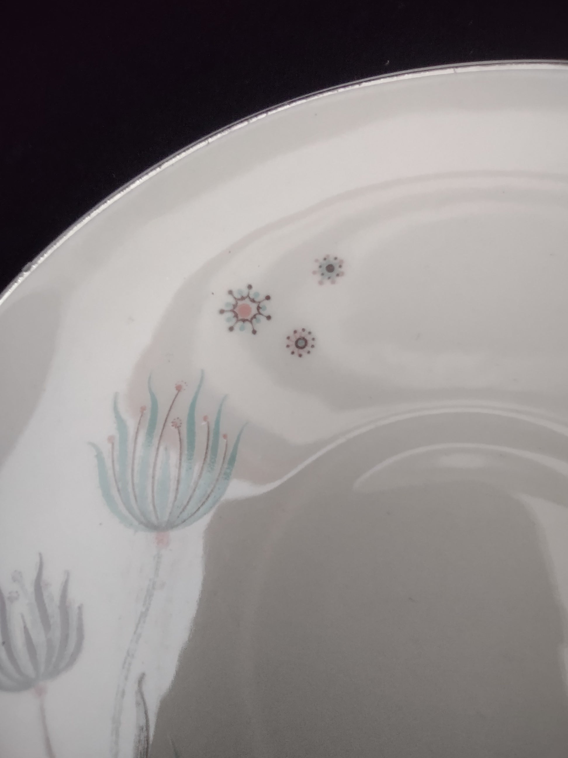 Vintage Crooksville Enchantment Botanical Cup & Saucer Set of 2 [6535]