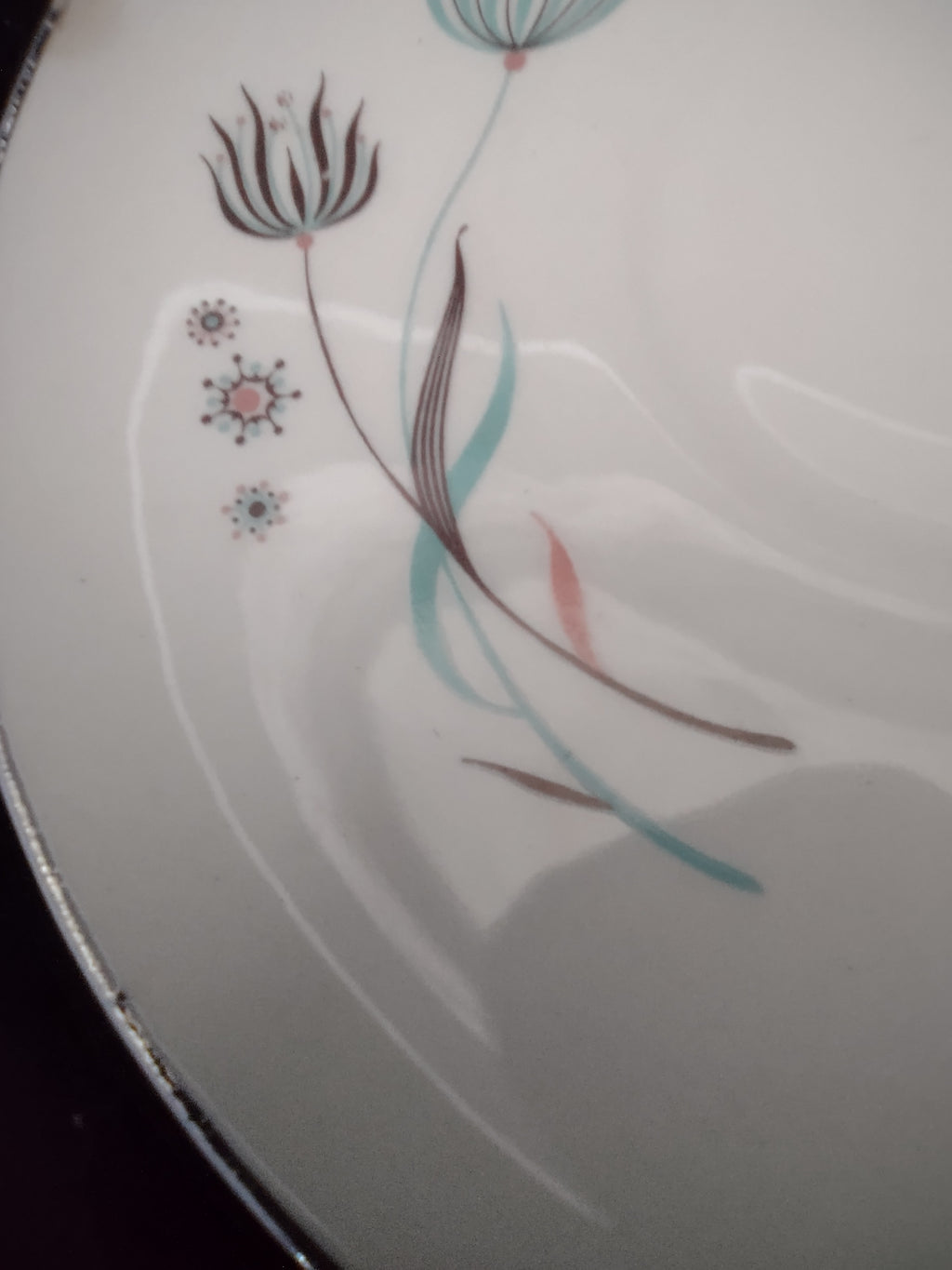 Vintage Crooksville Enchantment Botanical Cup & Saucer Set of 2 [6535]