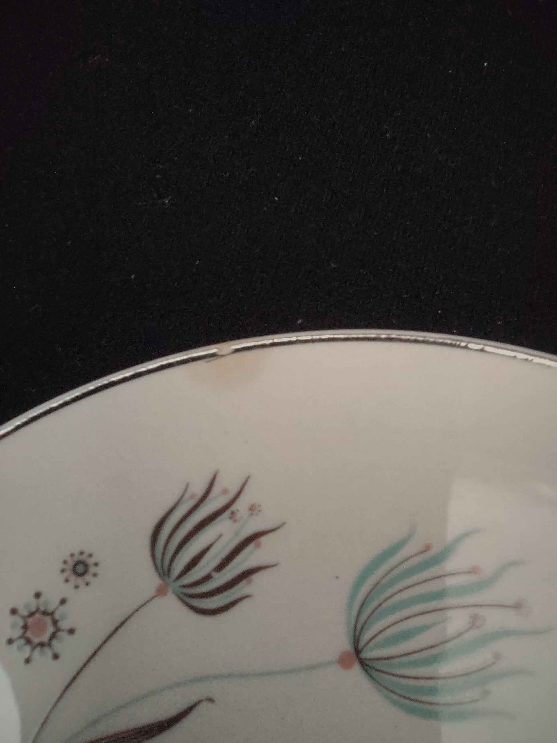 Vintage Crooksville Enchantment Botanical Cup & Saucer Set of 2 [6535]