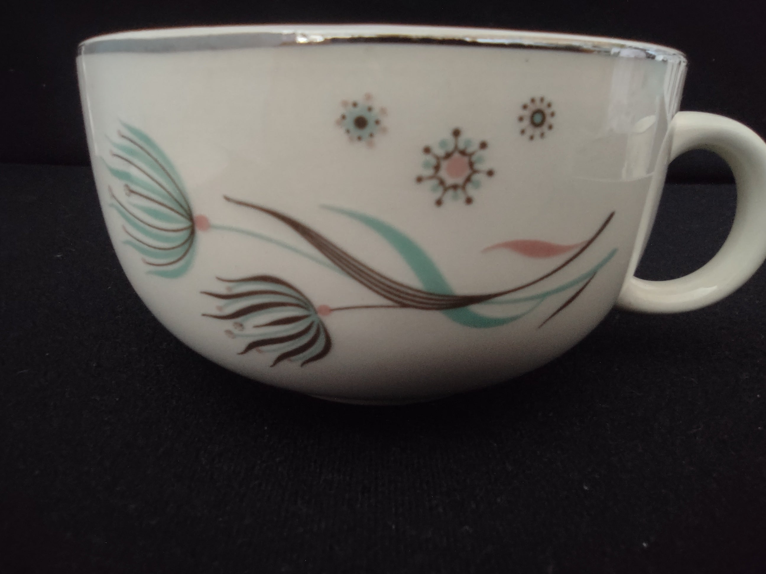 Vintage Crooksville Enchantment Botanical Cup & Saucer Set of 2 [6535]