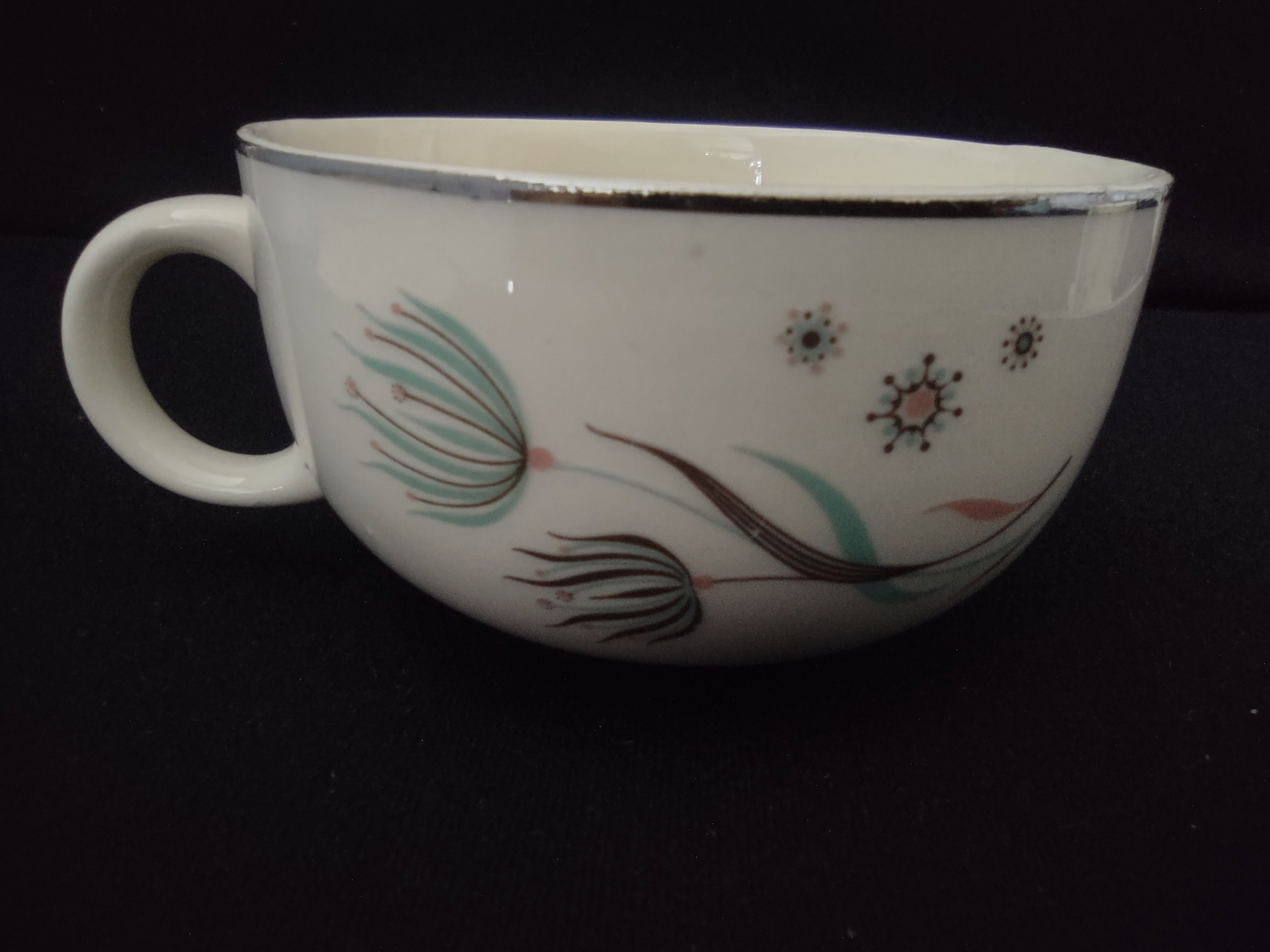 Vintage Crooksville Enchantment Botanical Cup & Saucer Set of 2 [6535]