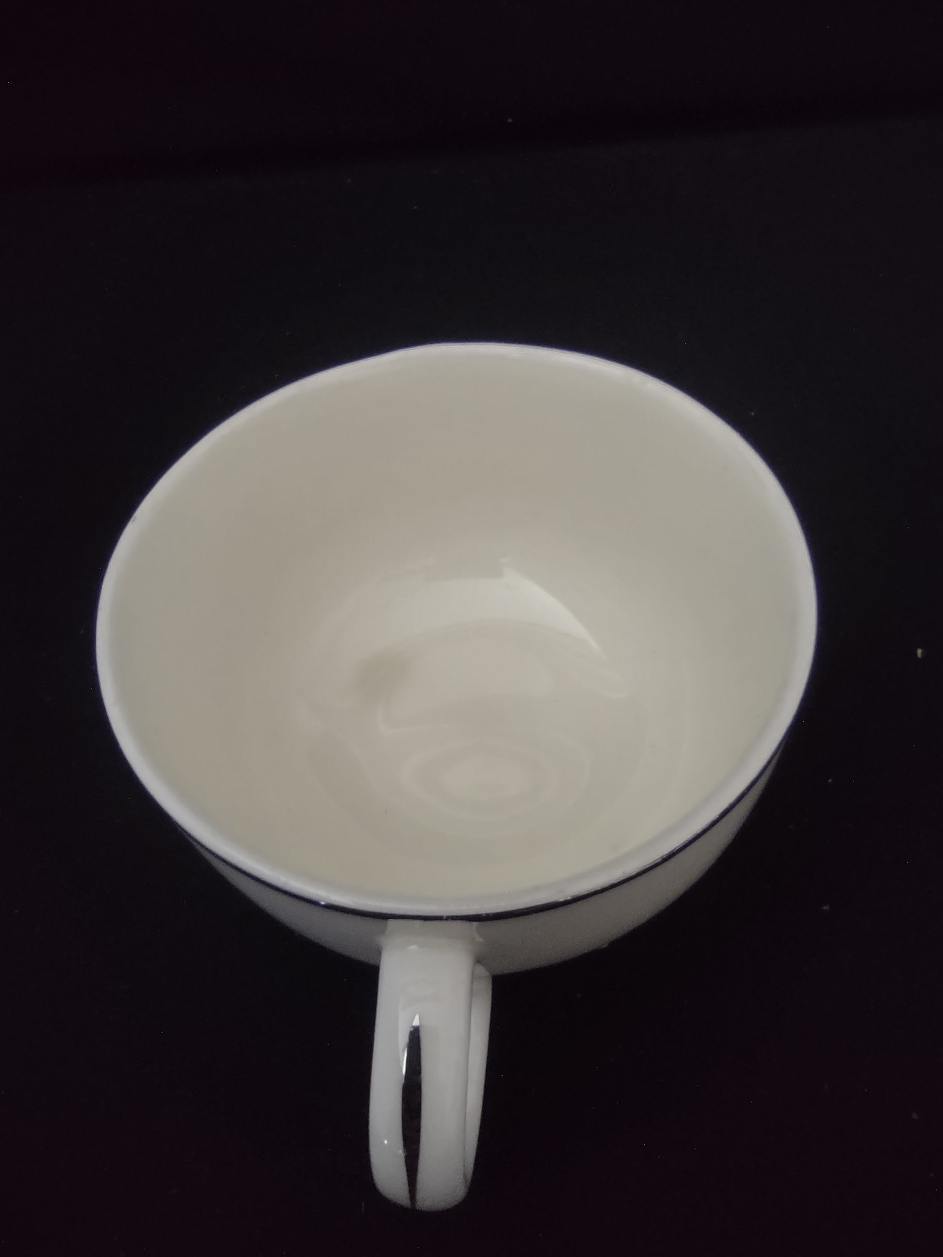 Vintage Crooksville Enchantment Botanical Cup & Saucer Set of 2 [6535]