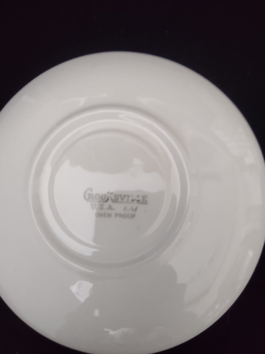 Vintage Crooksville Enchantment Botanical Cup & Saucer Set of 2 [6535]