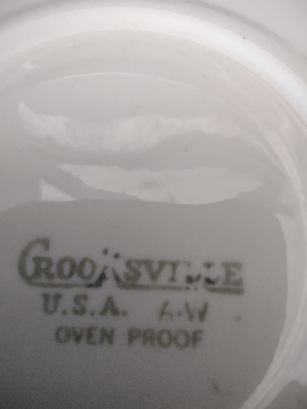Vintage Crooksville Enchantment Botanical Cup & Saucer Set of 2 [6535]