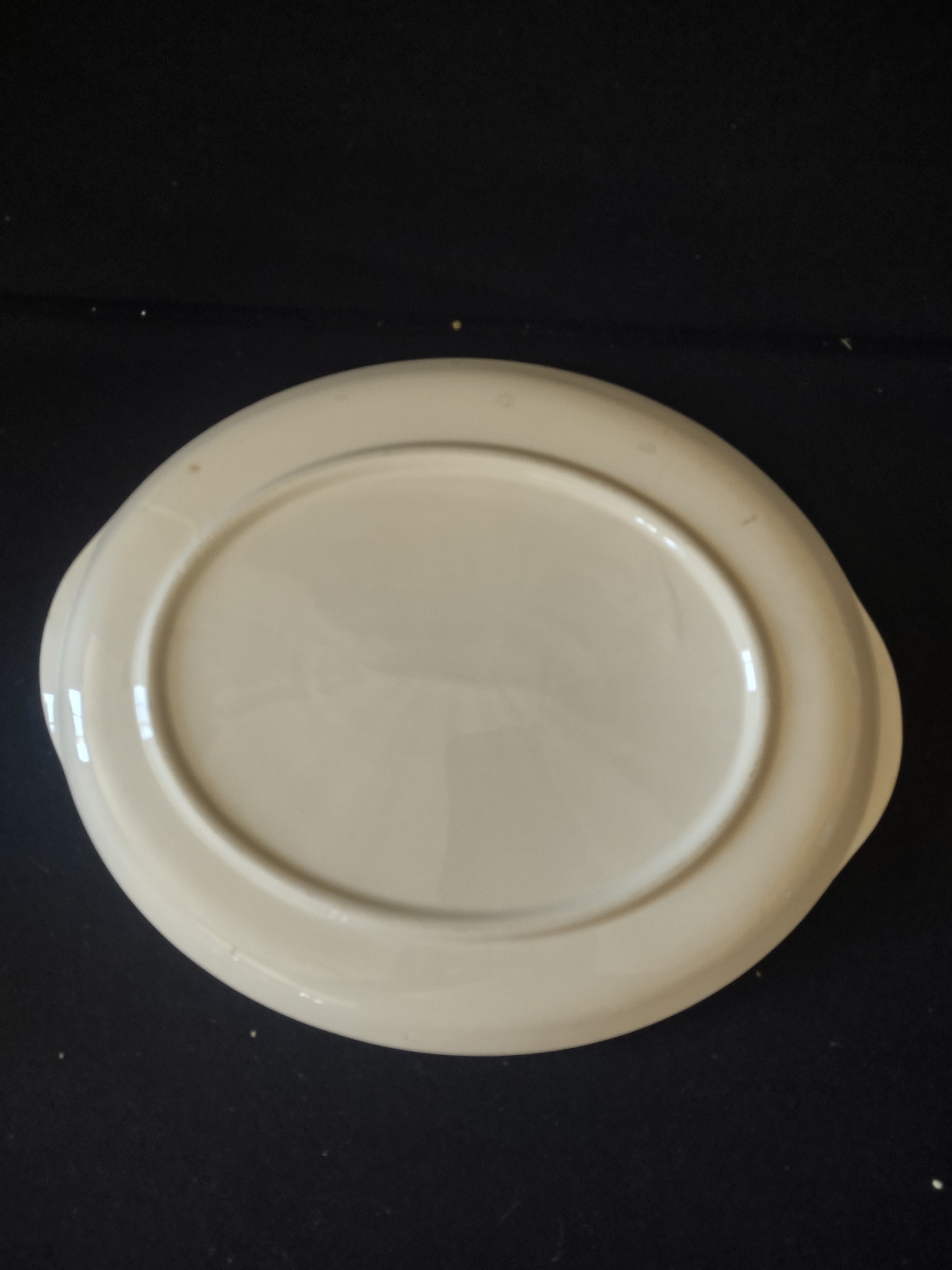 Vintage Crooksville Enchantment Oval Platter Teal Dandelion Pink Cream [6536]