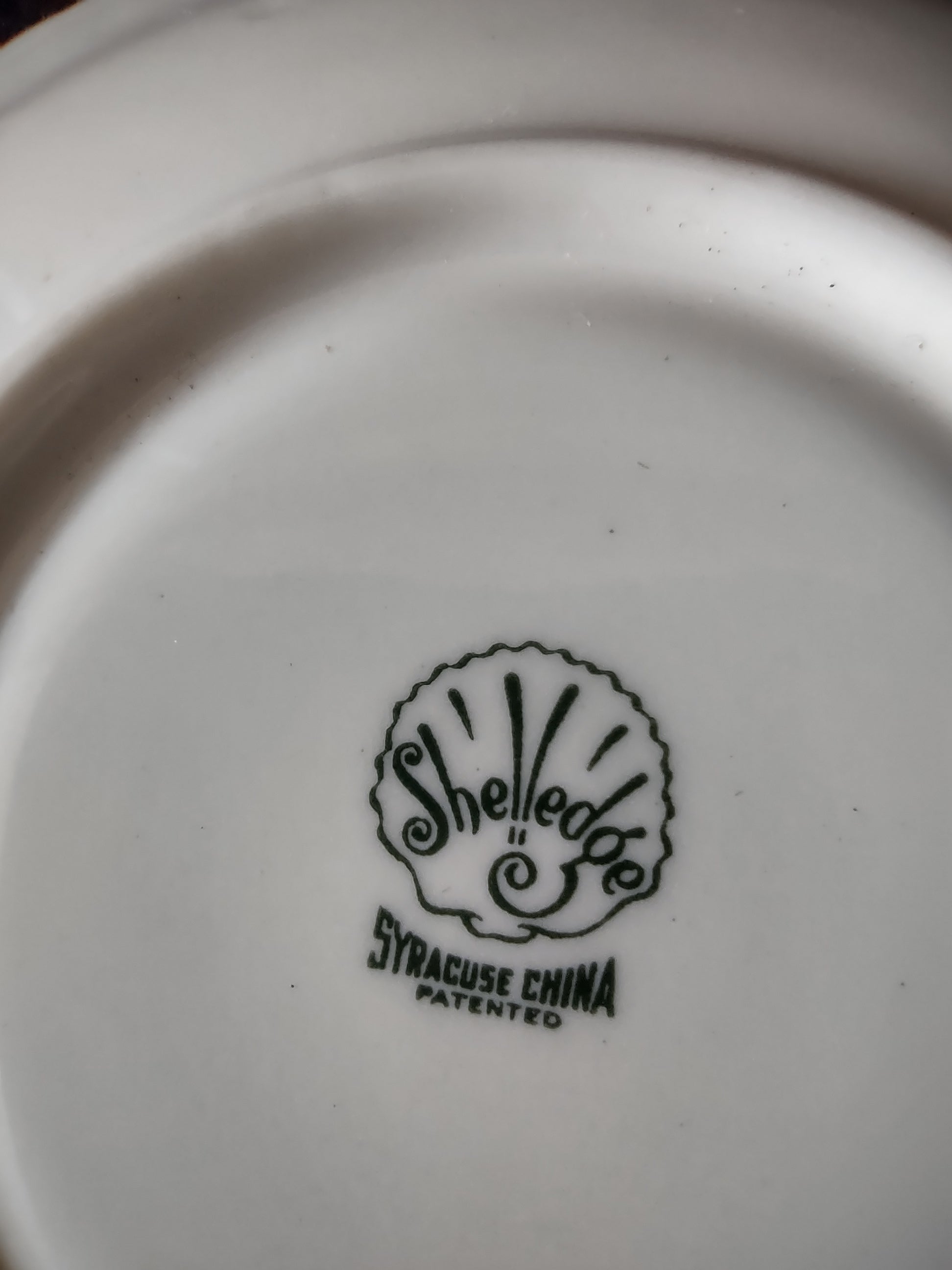 Vintage Syracuse China Shelledge White Cup & Saucer Set [6580]
