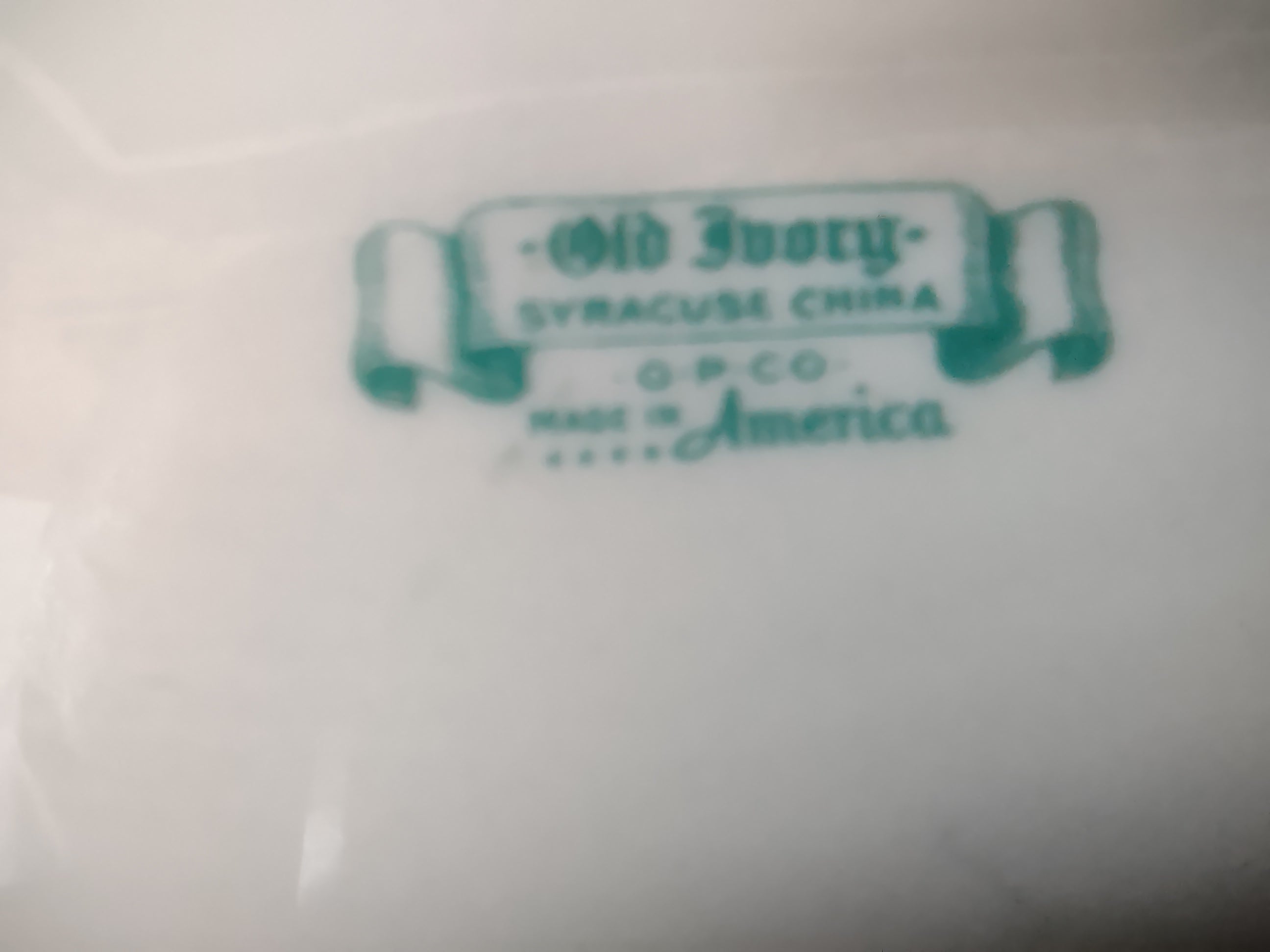 Vintage Syracuse China Old Ivory Green & Peach Laurel Oval Platter 12" [6607]