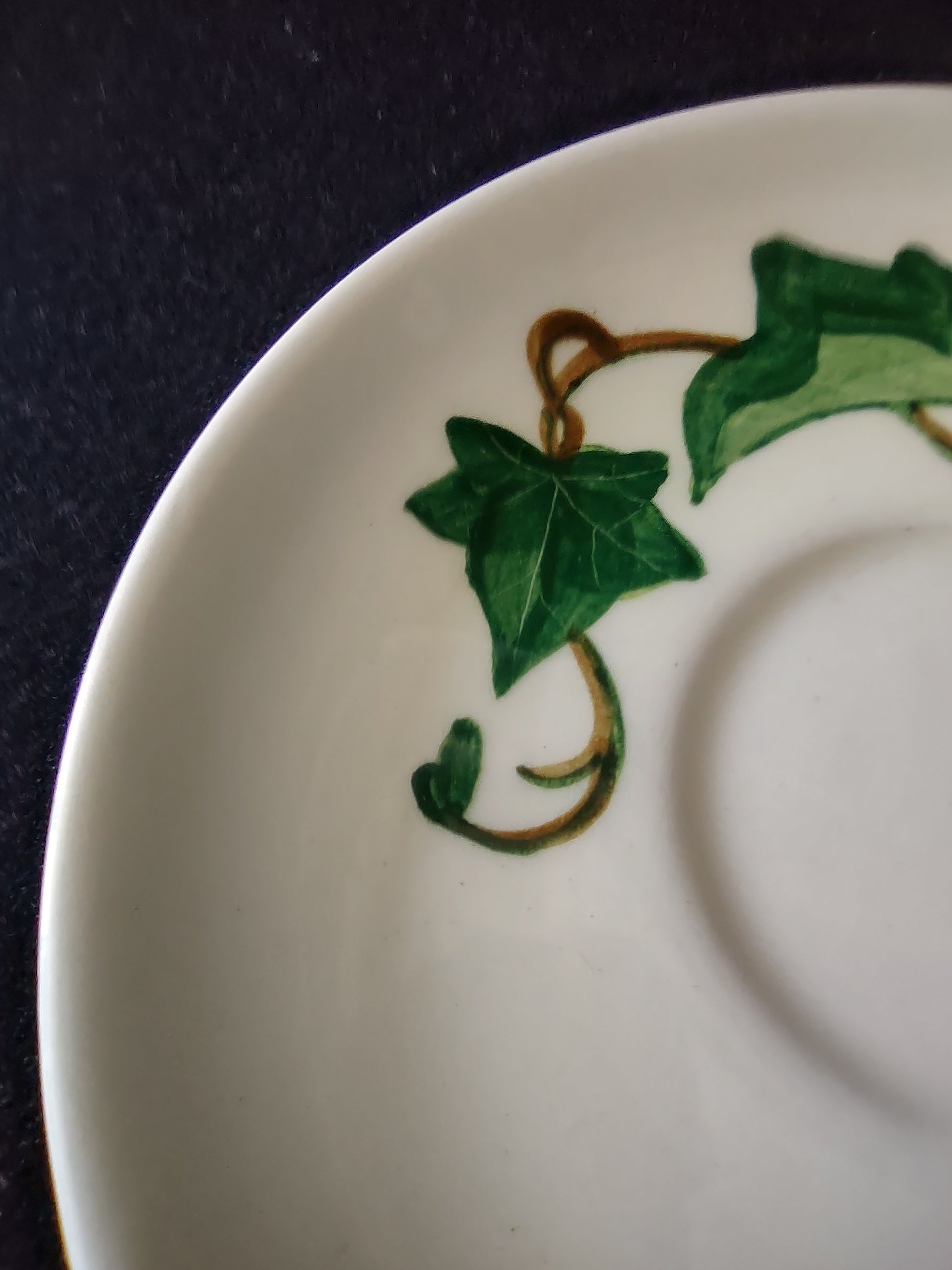 Vintage Metlox Poppytrail California Ivy Hand Painted Cup & Saucer Set [6652]