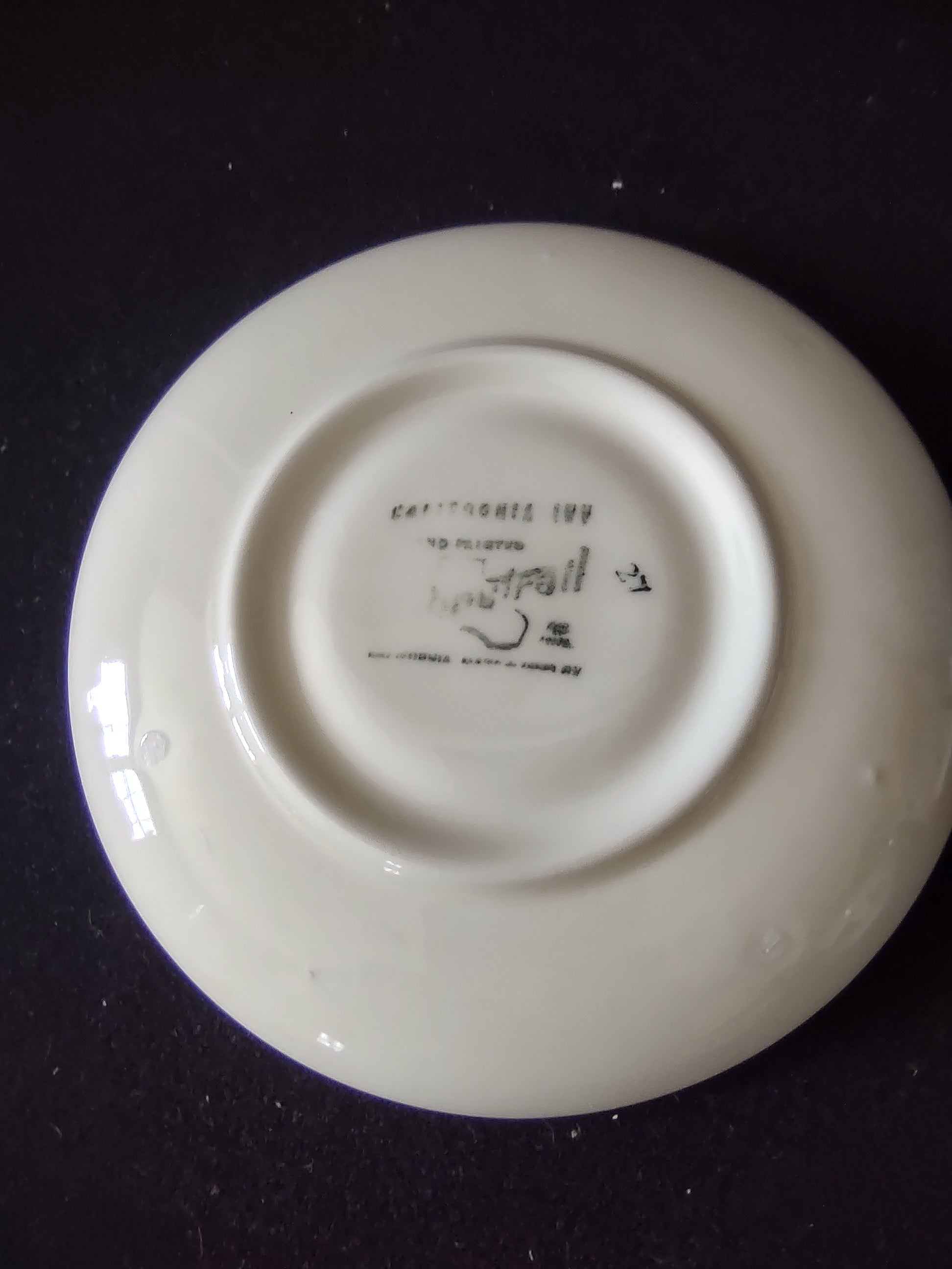 Vintage Metlox Poppytrail California Ivy Hand Painted Cup & Saucer Set [6652]