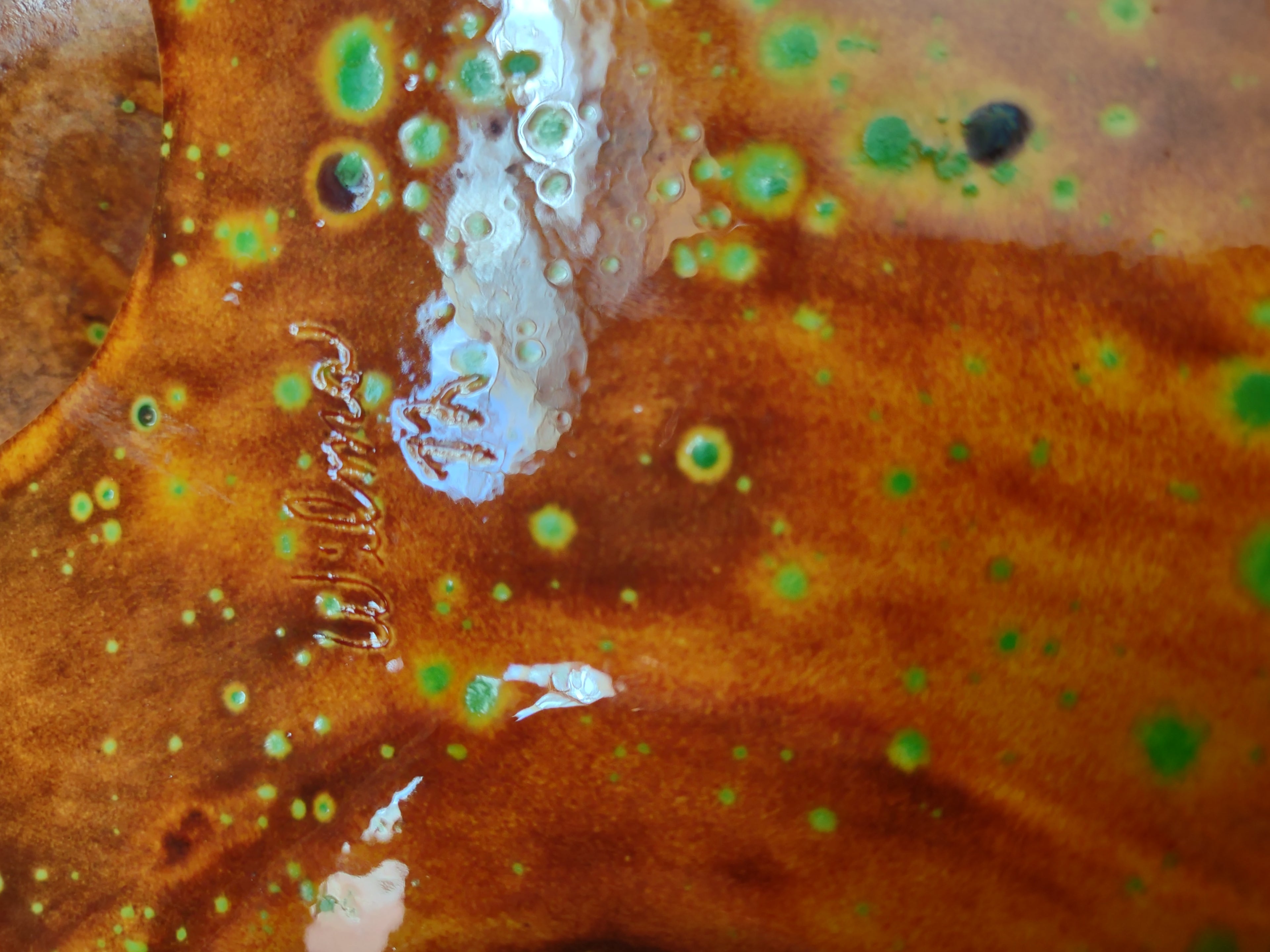 Vintage Atlantic Mold MCM Ashtray Orange Green Speckle Glaze Nautilus 12" [6672]