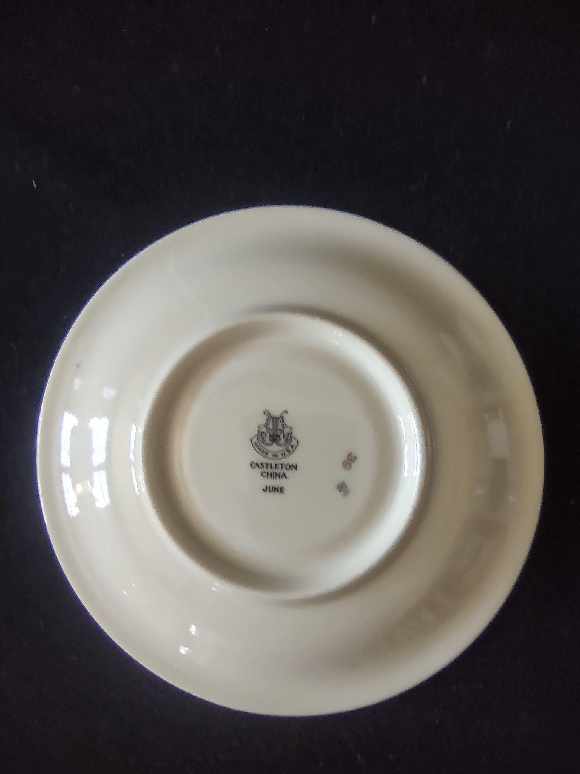 Vintage Castleton China June Rose Cup & Saucer Set Gold Trim [6673]