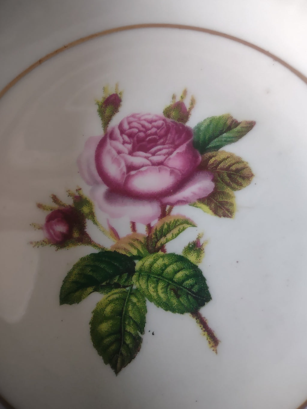Vintage Syracuse China Federal Pink Rose Berry Bowls Set of 6 Gold Trim [6675]