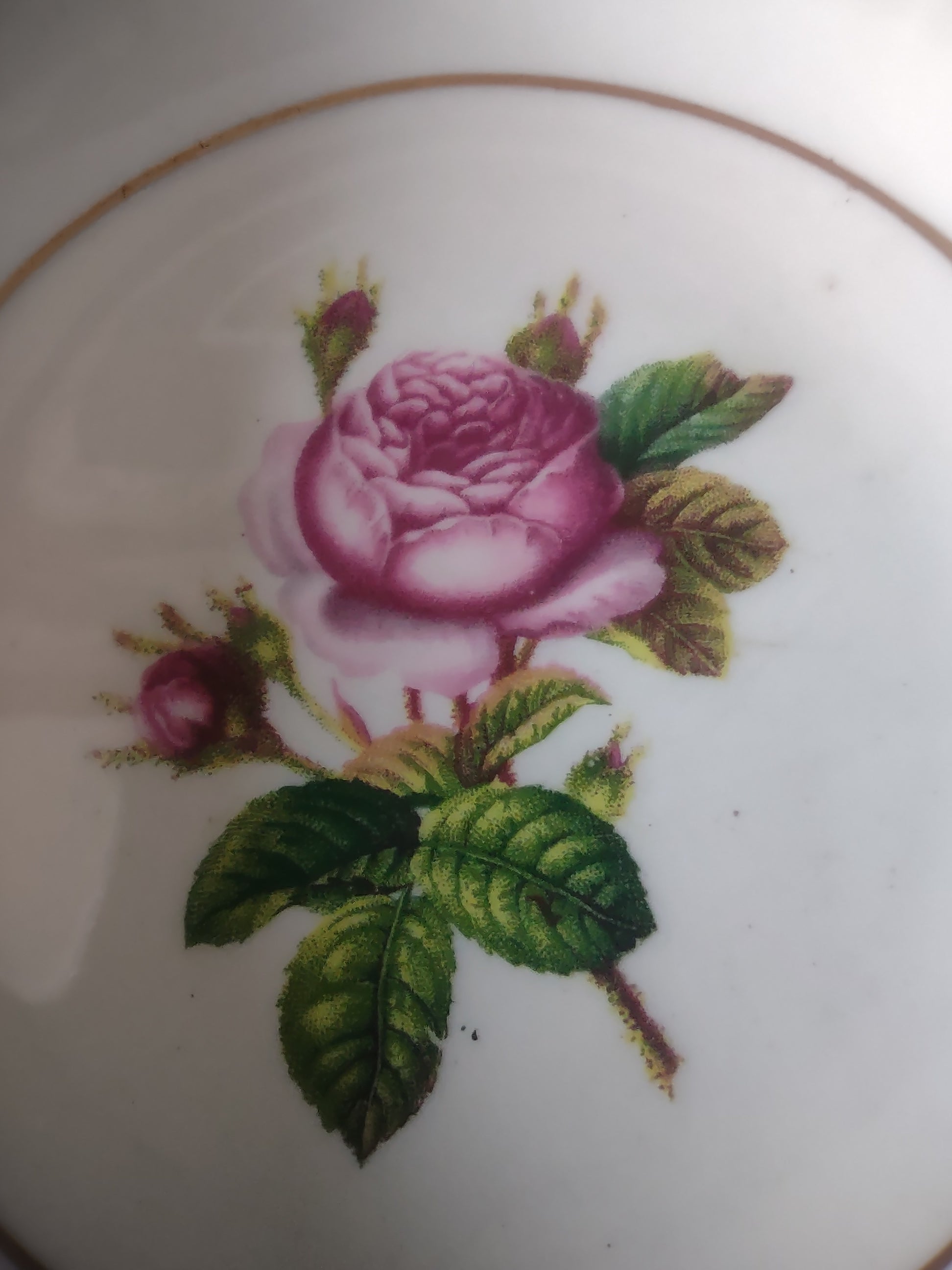 Vintage Syracuse China Federal Pink Rose Berry Bowls Set of 6 Gold Trim [6675]