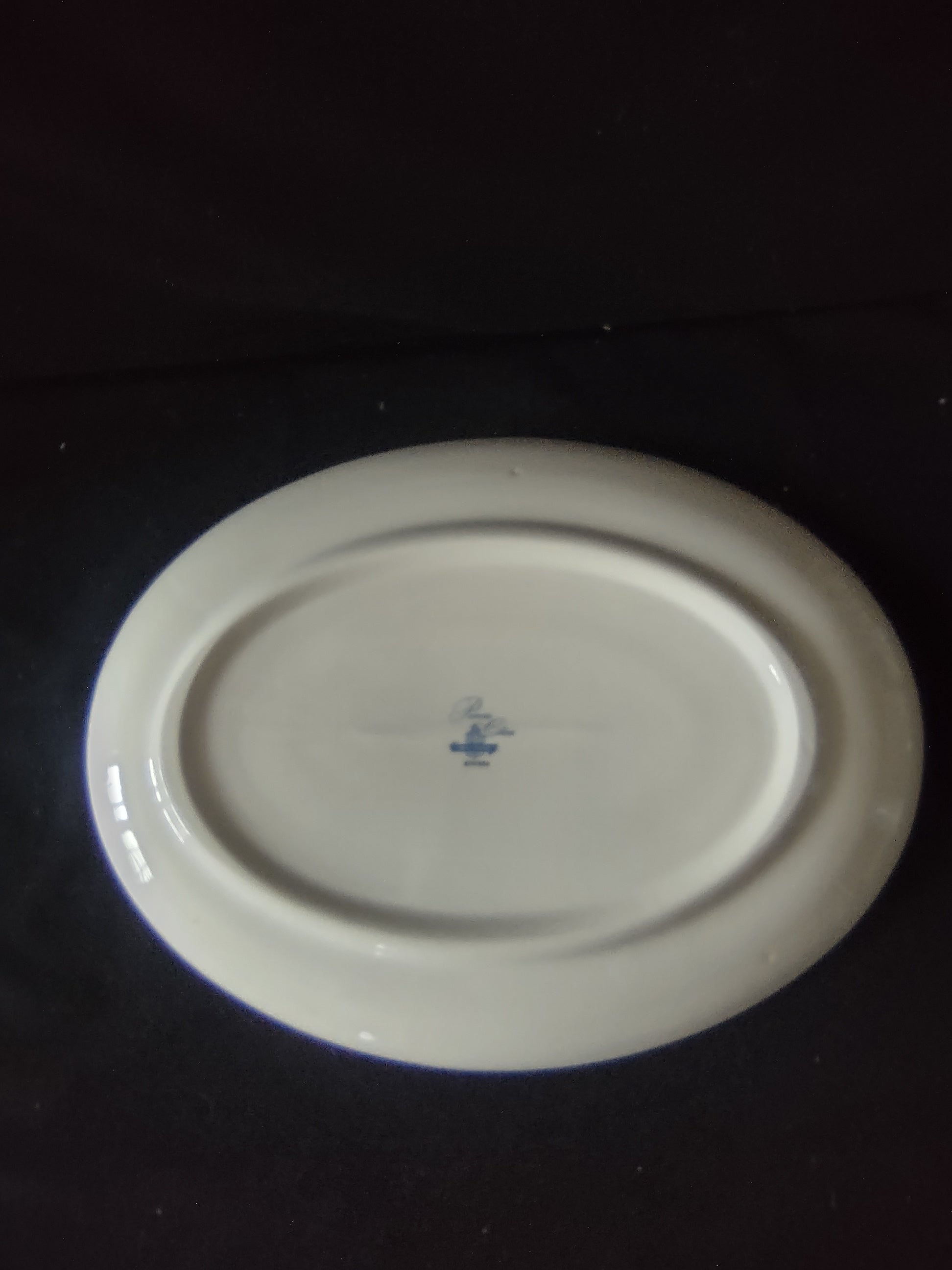 Vintage Princess China Riviera Oval Platter Tru-Tone USA Leaf Spray [6705]