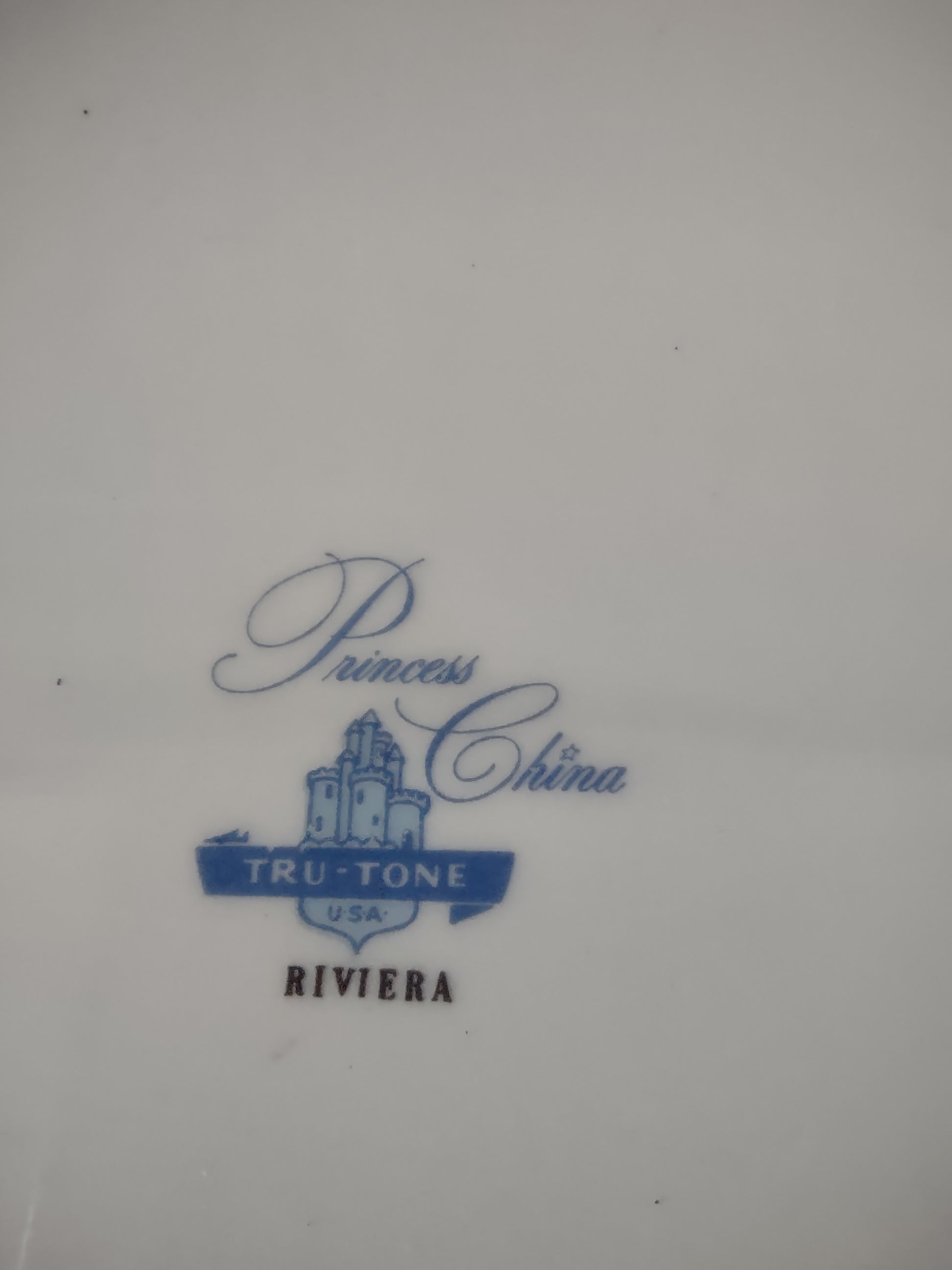 Vintage Princess China Riviera Oval Platter Tru-Tone USA Leaf Spray [6705]