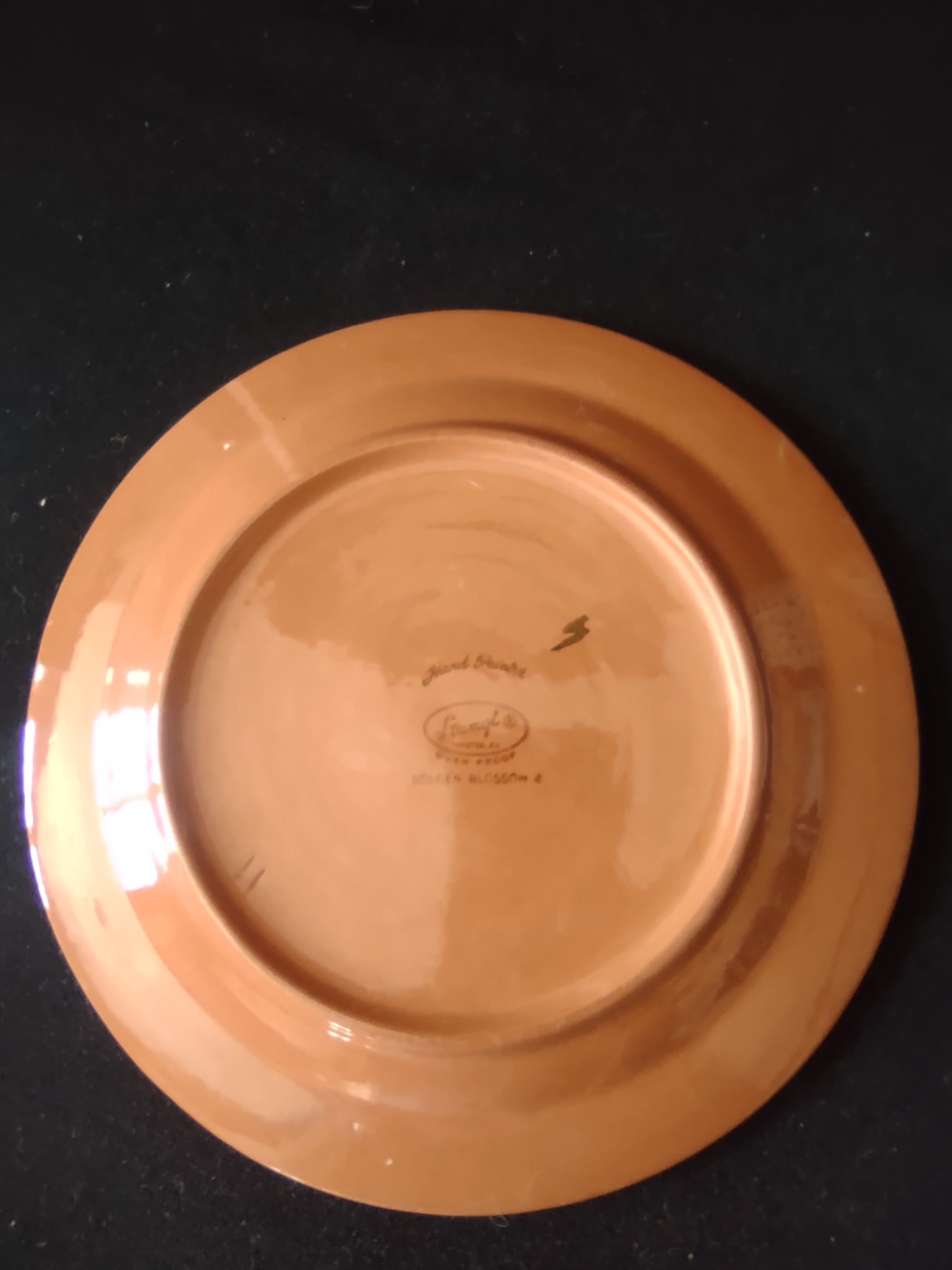 Vintage Stangl Golden Blossom Hand Painted Salad Plates Set of 2 [6723]