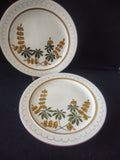 Vintage Stangl Golden Blossom Hand Painted Dinner Plates Set of 2 10" [6725]