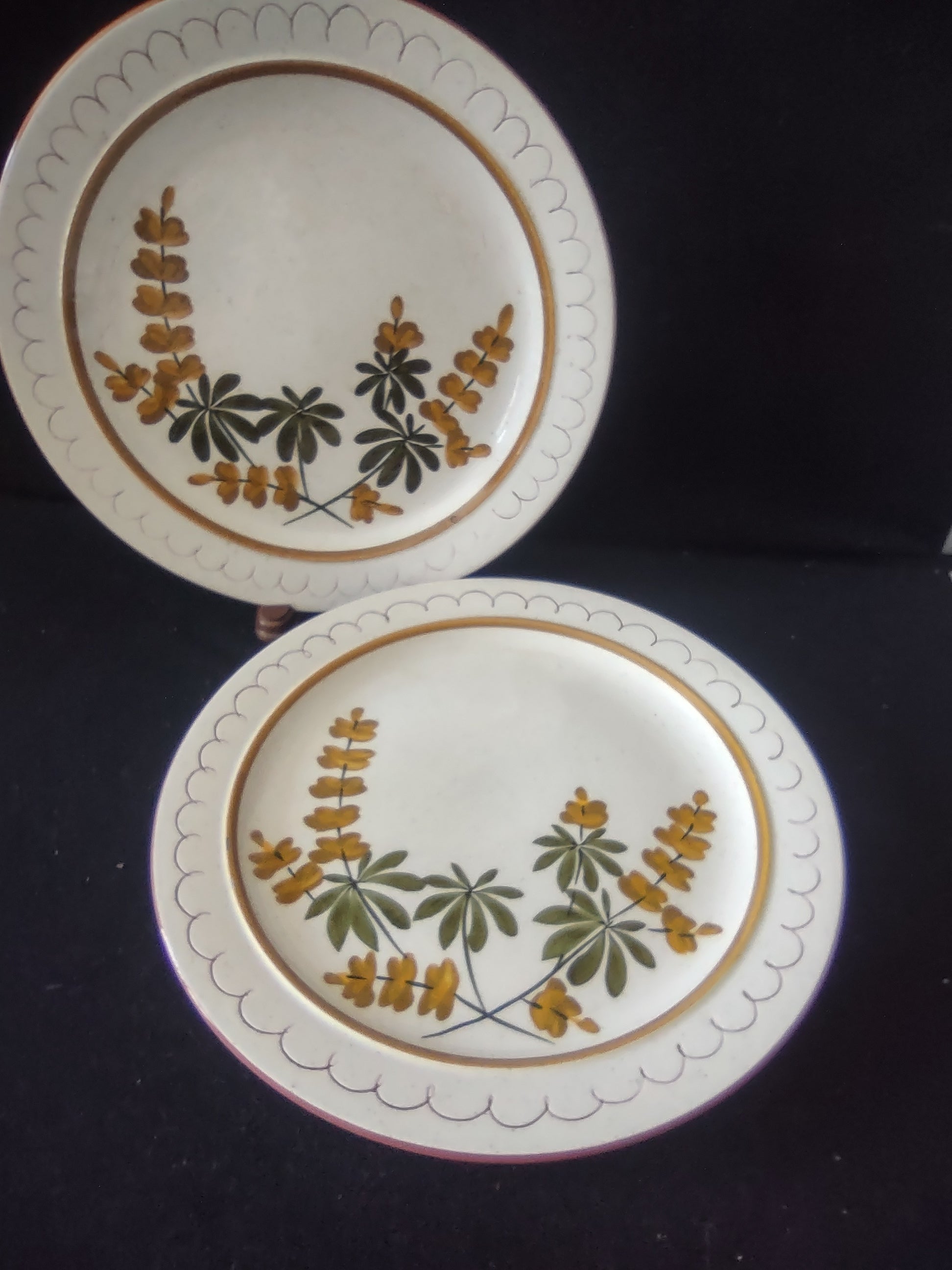 Vintage Stangl Golden Blossom Hand Painted Dinner Plates Set of 2 10" [6725]
