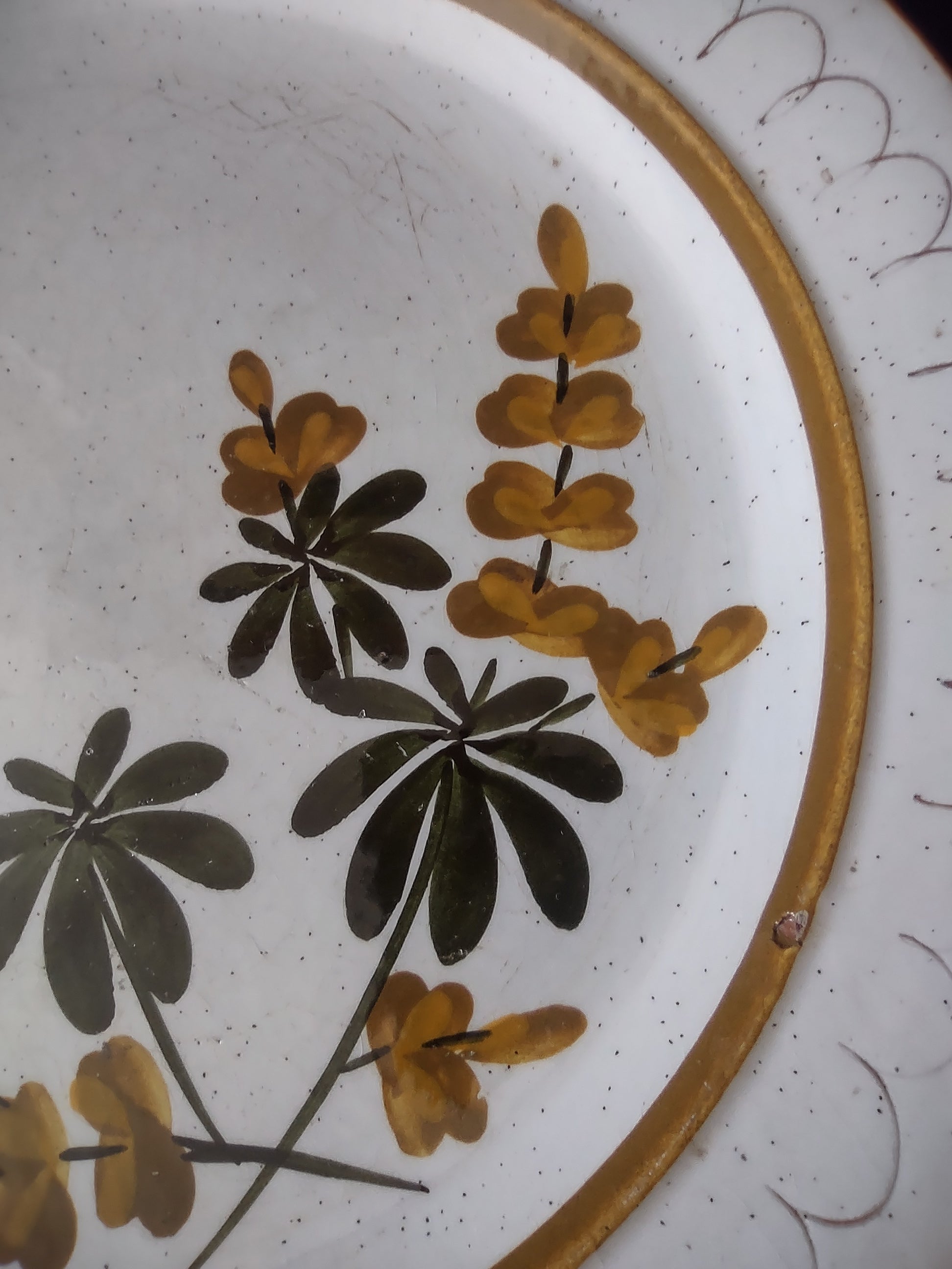 Vintage Stangl Golden Blossom Hand Painted Dinner Plates Set of 2 10" [6725]