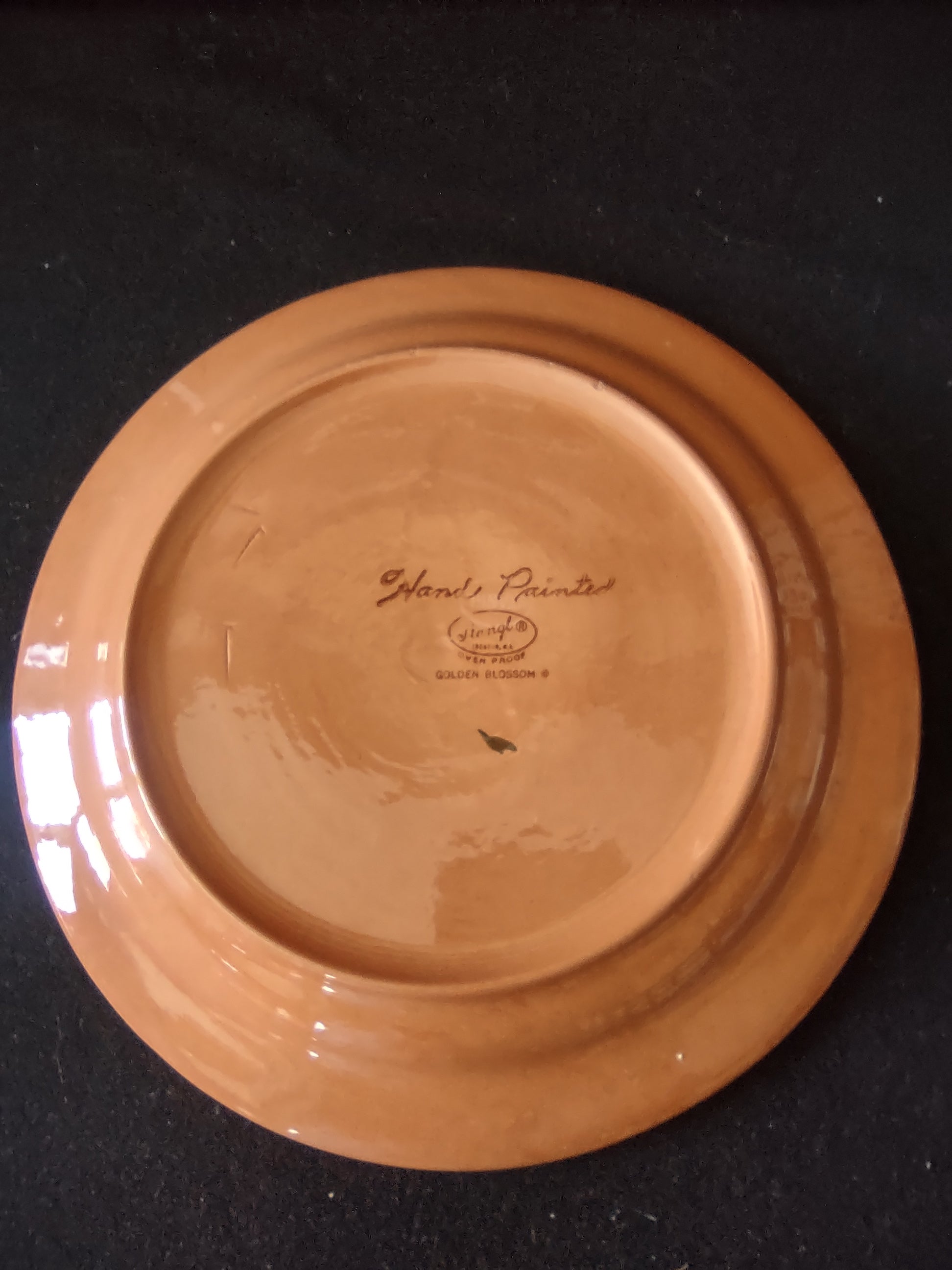 Vintage Stangl Golden Blossom Hand Painted Dinner Plates Set of 2 10" [6725]