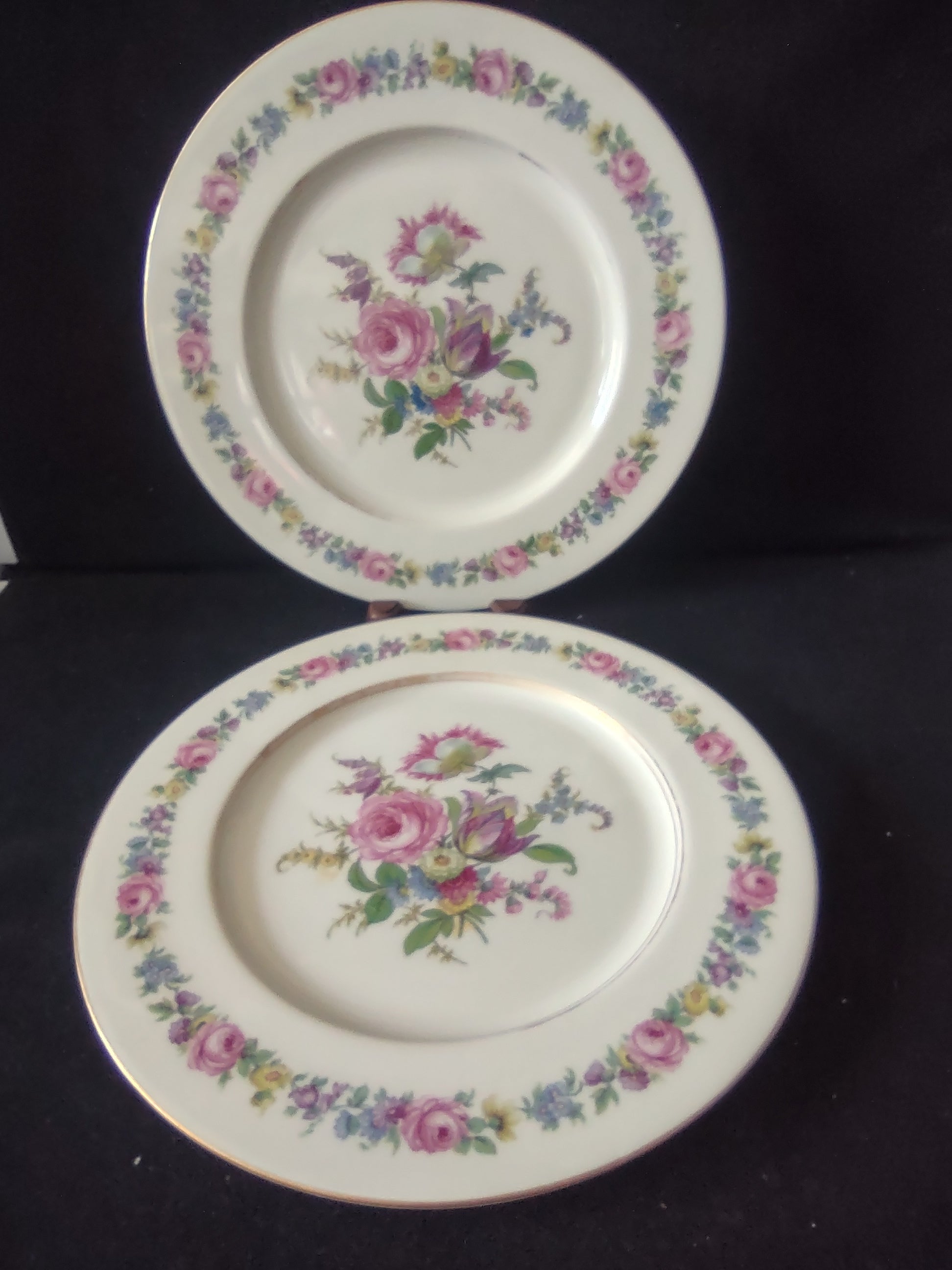 Vintage Castleton Manor Dinner Plates Pink Floral Set of 2 [6749]
